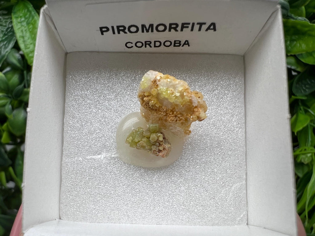 Pyromorphite Stone / Pyromorphite on Matrix / Pyromorphite Crystal / Raw Crystal / Pyromorphite Cluster / Rough Pyromorphite / Pyromorphite