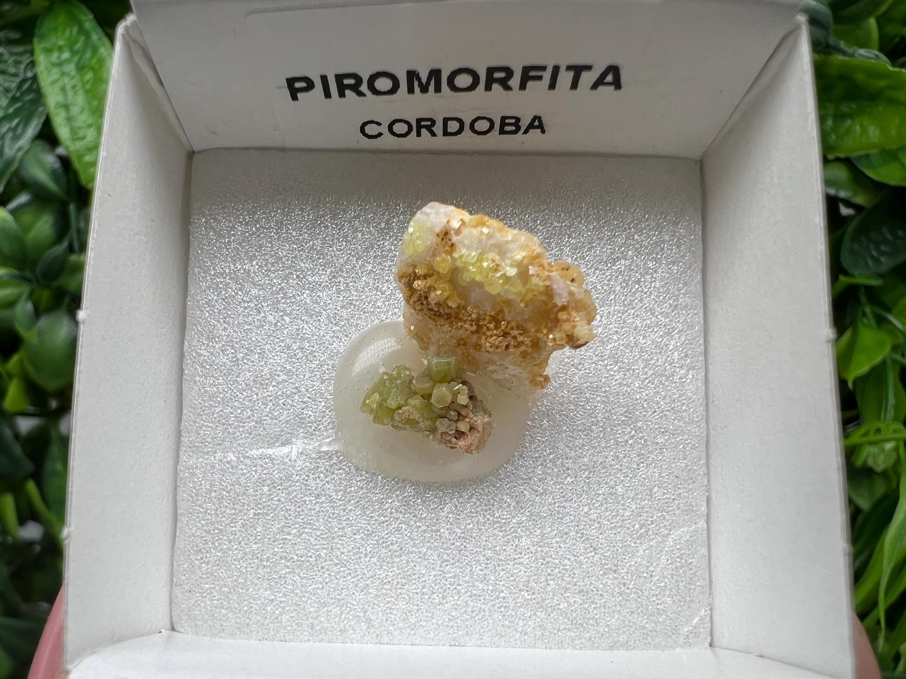 Pyromorphite Stone / Pyromorphite on Matrix / Pyromorphite Crystal / Raw Crystal / Pyromorphite Cluster / Rough Pyromorphite / Pyromorphite