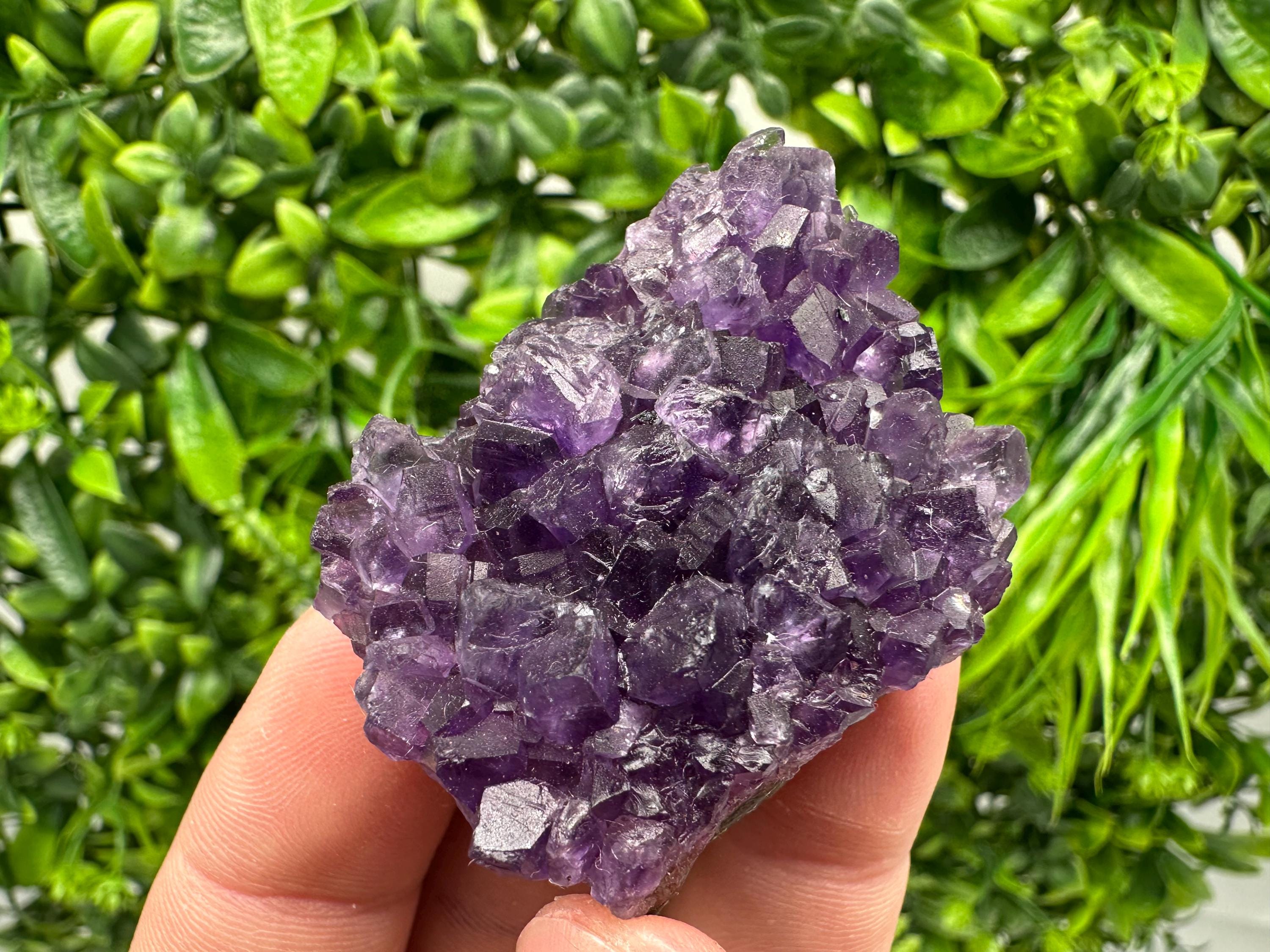 Uruguay Amethyst Cluster: Purple Quartz Crystal, Home Decor
