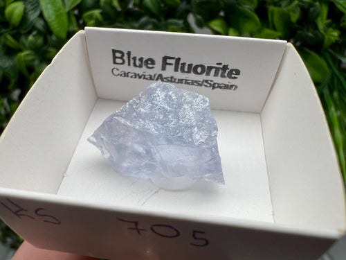 Blue Fluorite Mineral Specimen: Spanish Crystal Collection (2.5/1.5 cm)