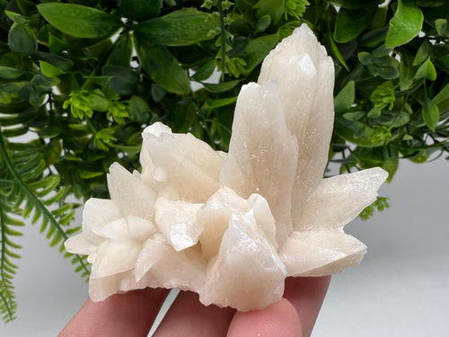 Calcite on Green Quartz: Djurcovo Mine, Bulgaria Healing Crystal