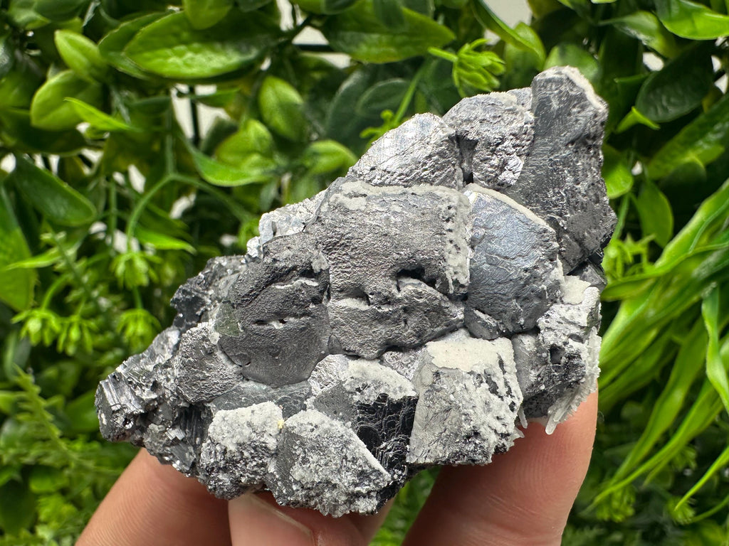 Galena with Quartz Specimen: Krushev Dol Mine, Bulgaria