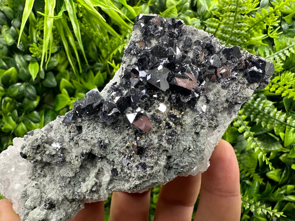 Skeletal Galena on Quartz with Pyrite - Bulgaria Crystal Decor