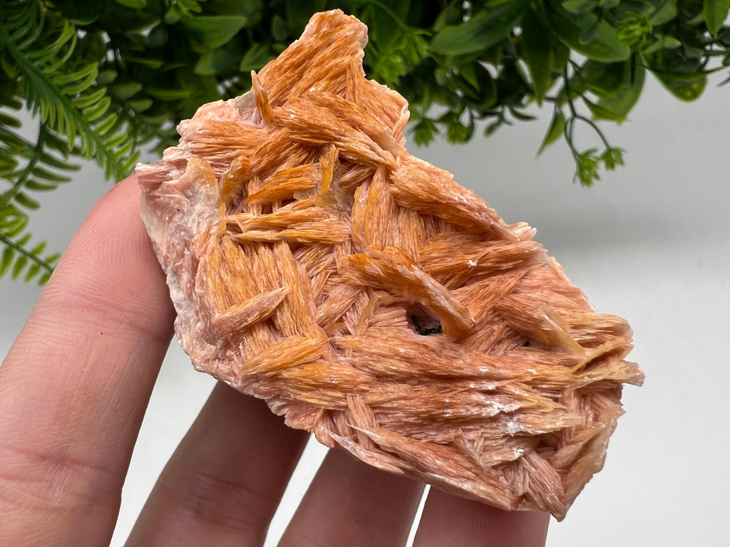 Wonderful Baryte with Cerussite on Galena from Morocco,Crystal, Mineral,Specimen,Cluster,Crystals,Barite Crystal,Cerussite Crystal,Specimen
