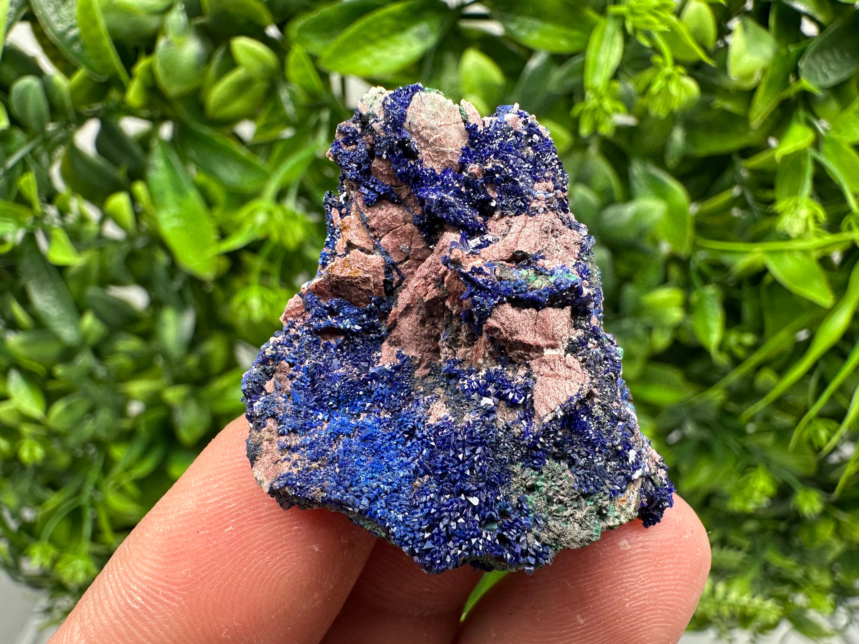 Crystallized Azurite-Kerrouchen,Morocco-Blue Azurite Specimen-High Quality Blue Azurite-Azurite Mineral Specimen, gemmy,lustrous of Azurite