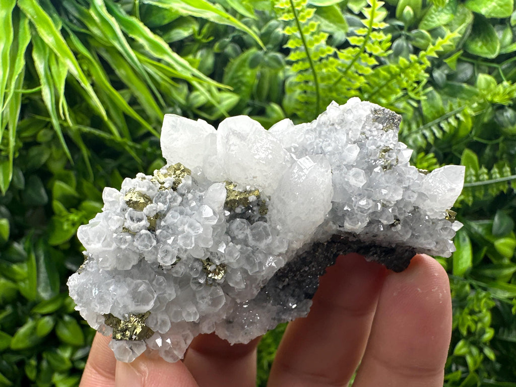Chalcopyrite on Quartz Cluster, Krushev Dol Mine, Bulgaria, Mineral Specimen