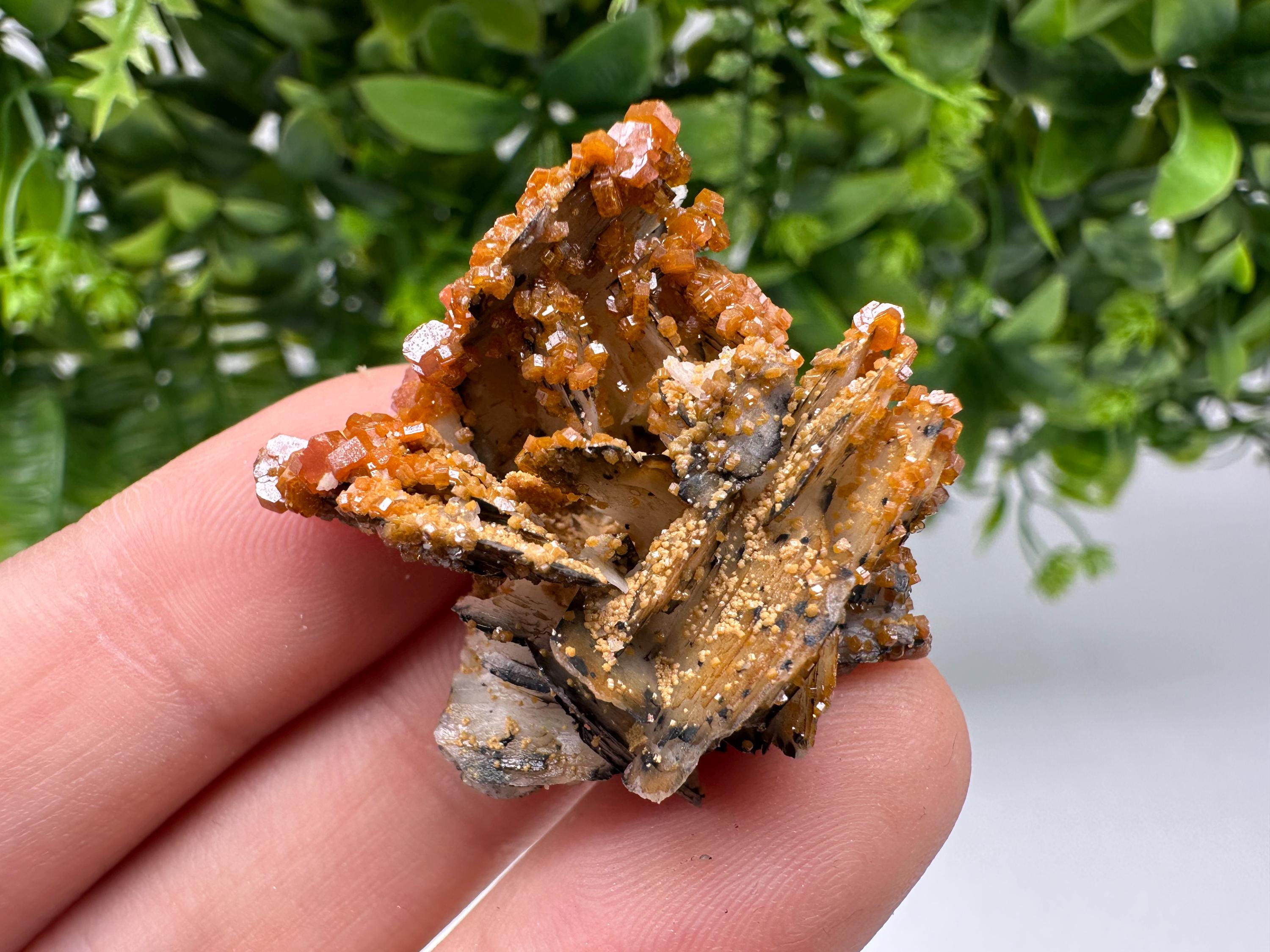 Red Vanadinite on Barite from Marocco,crystal minerals Speciment cluster Vanadinite crystal Vanadinite Geology Vanadinite cluster minerals