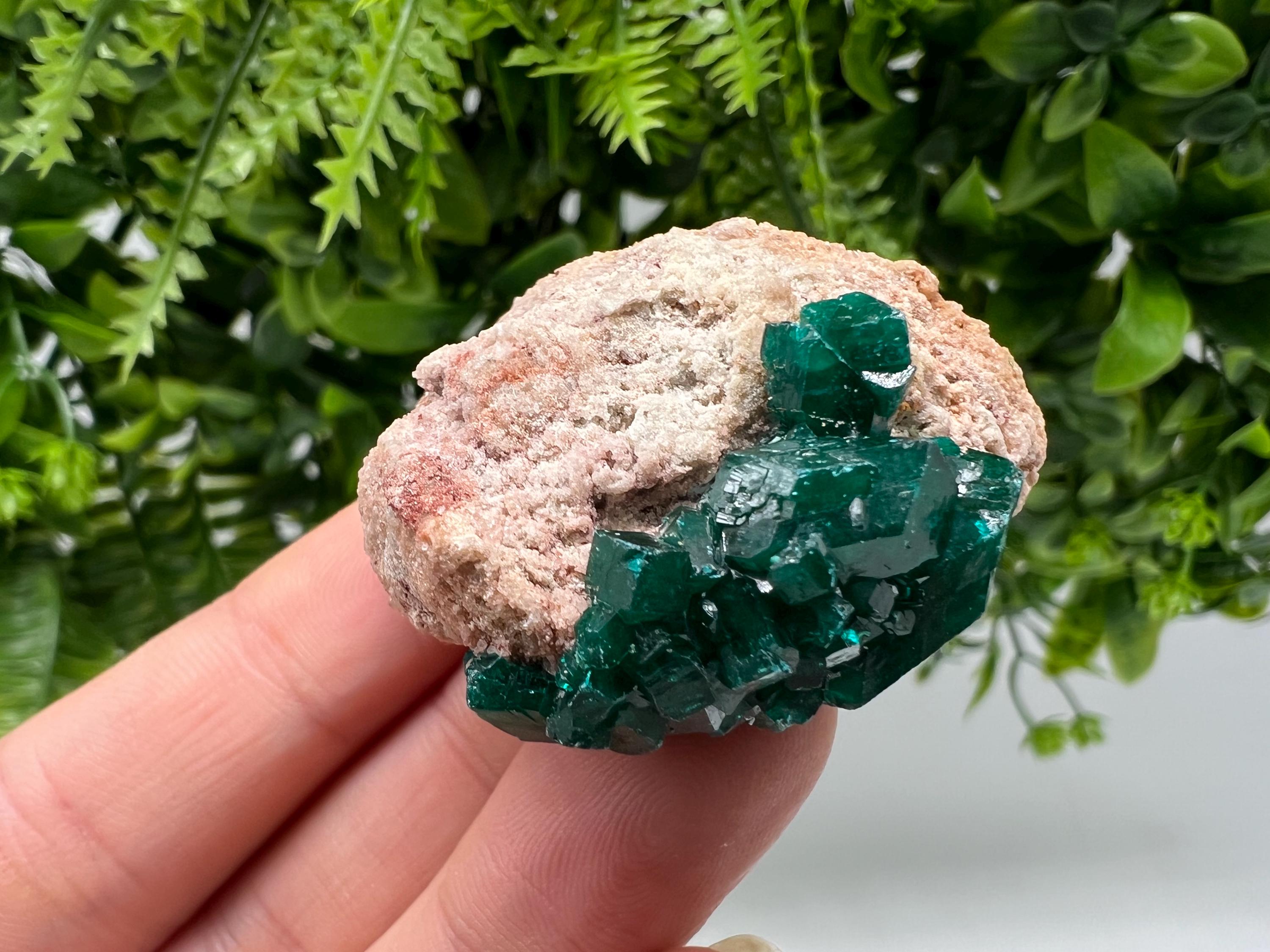 Stunning Green Dioptase from Sanda Hills,Mindouli,Pool Department,Mindouli District,Congo,green Dioptase,Dioptas Crystal,Dioptase collecting