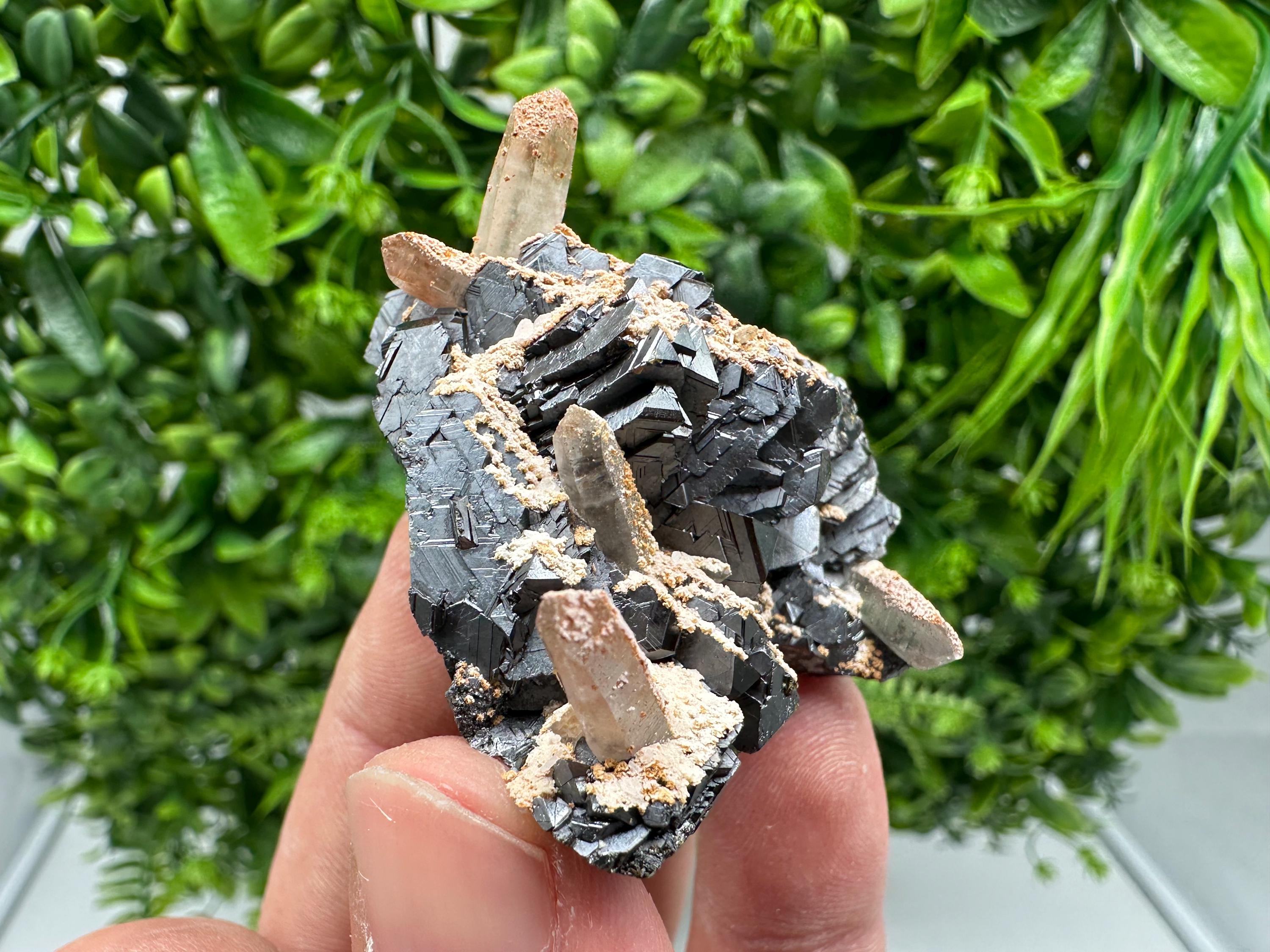 Wonderful Sphalerite Chalcopyrite on Green Quartz whit Hematite feom 9 th September mine,Bulgaria,natural,collection mineral specimen,gift