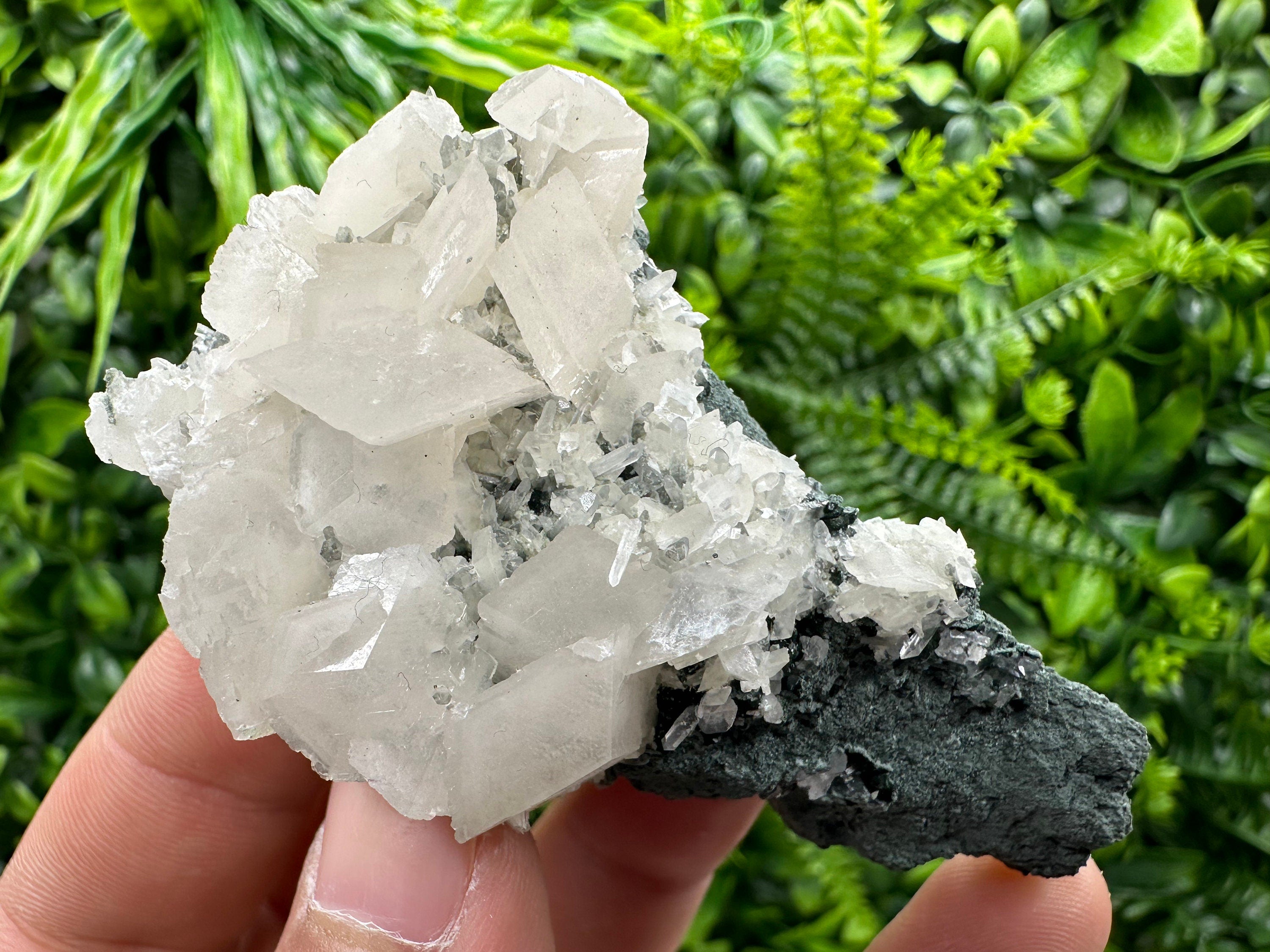 Calcite on Matrix, Borieva Mine Bulgaria, Rare Mineral Specimen