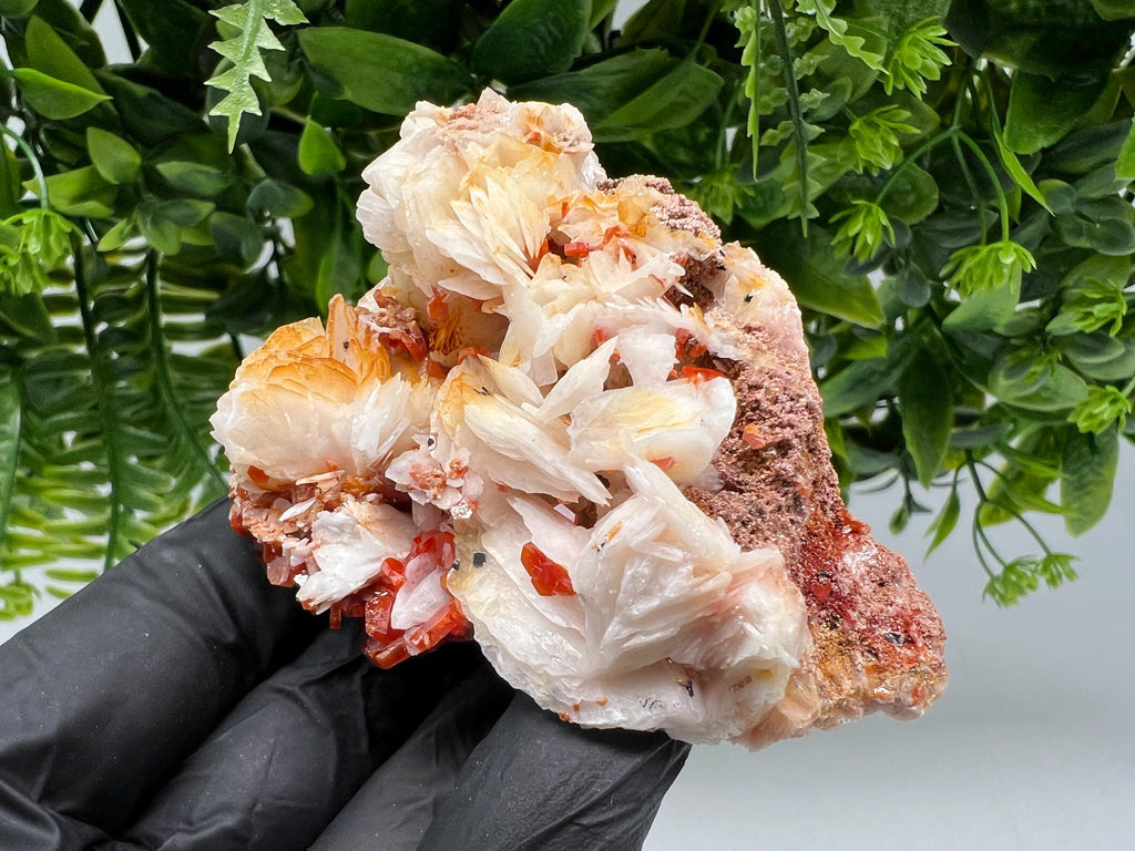 Red Vanadinite on Barite from Marocco,crystal minerals Speciment cluster Vanadinite crystal Vanadinite Geology Vanadinite cluster minerals