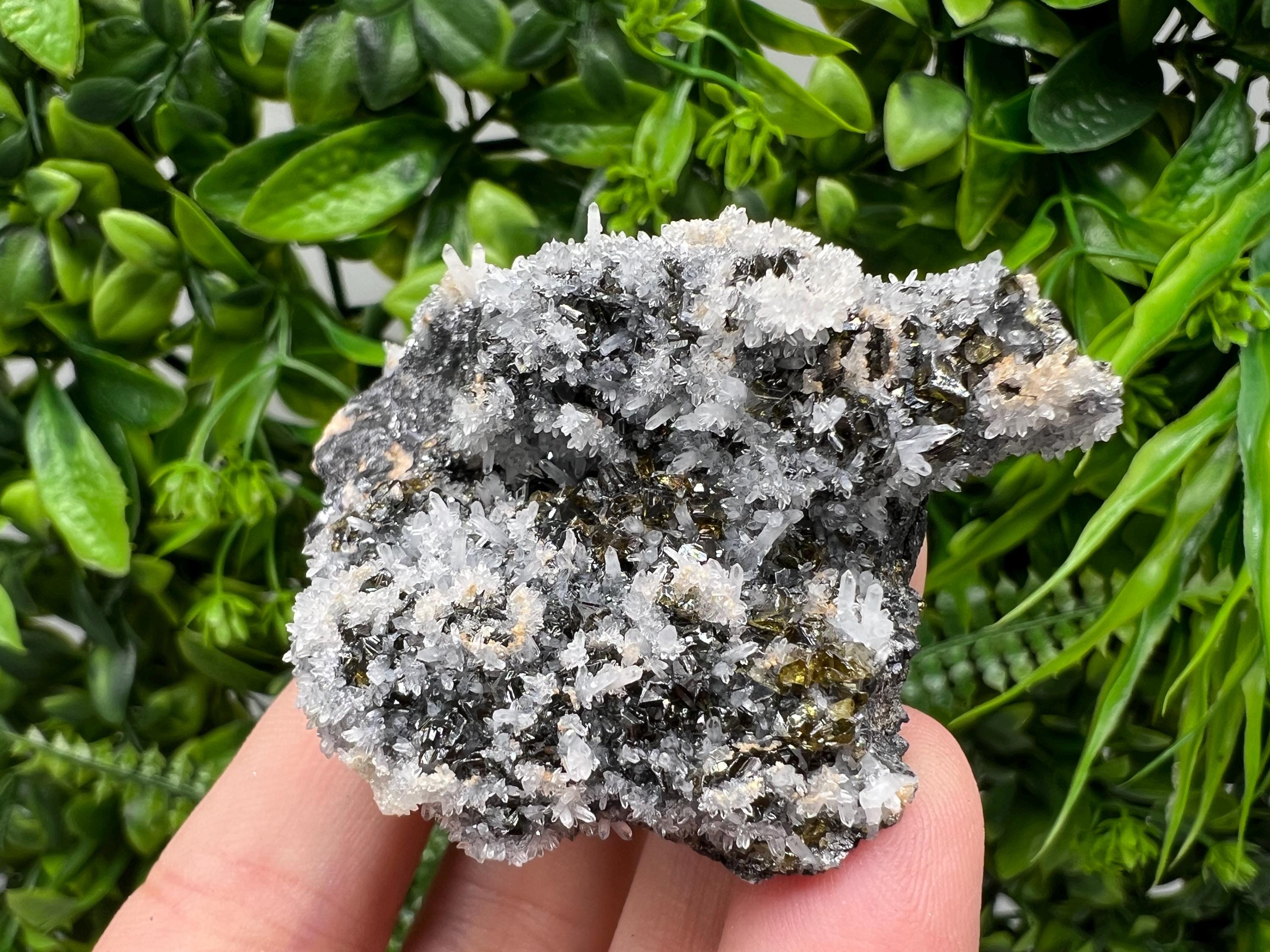 Stunning Gems Sphalerite Cleiopfane on Quartz from Krushev dol mine,Madan,Bulgaria,natural,collectible mineral specimen,home decor stone