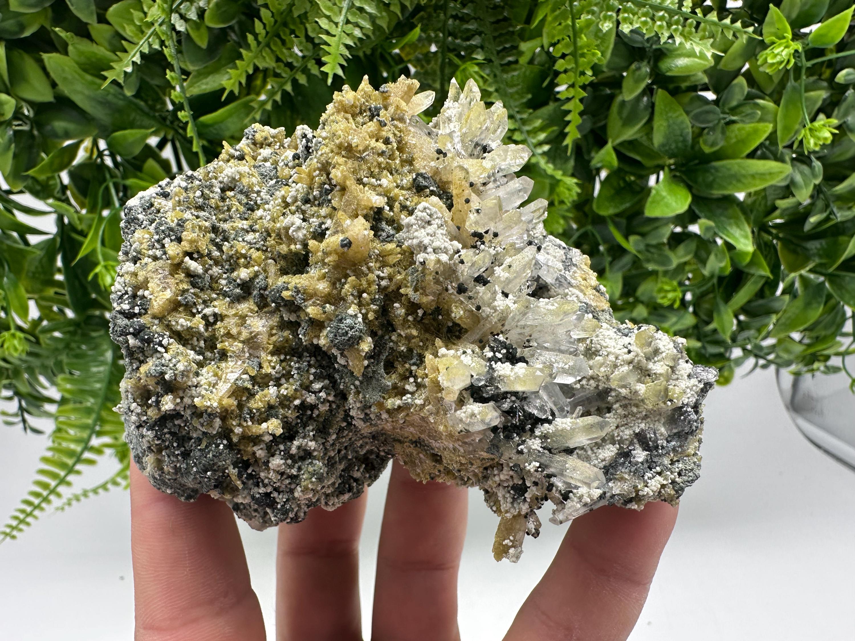 Chlorite Epidote Quartz Specimen: Borieva Mine, Bulgaria