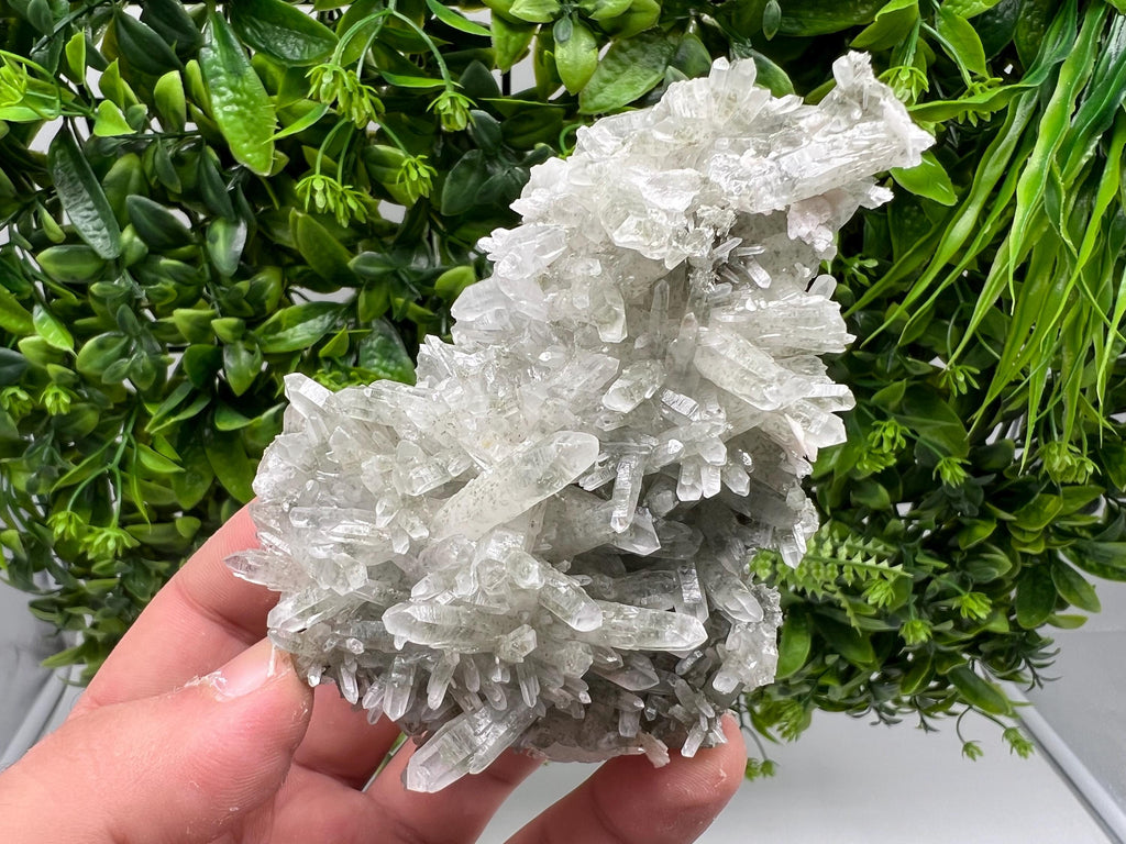 Chlorite Quartz Crystal Cluster - Borieva Mine, Bulgaria