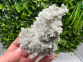 Chlorite Quartz Crystal Cluster - Borieva Mine, Bulgaria