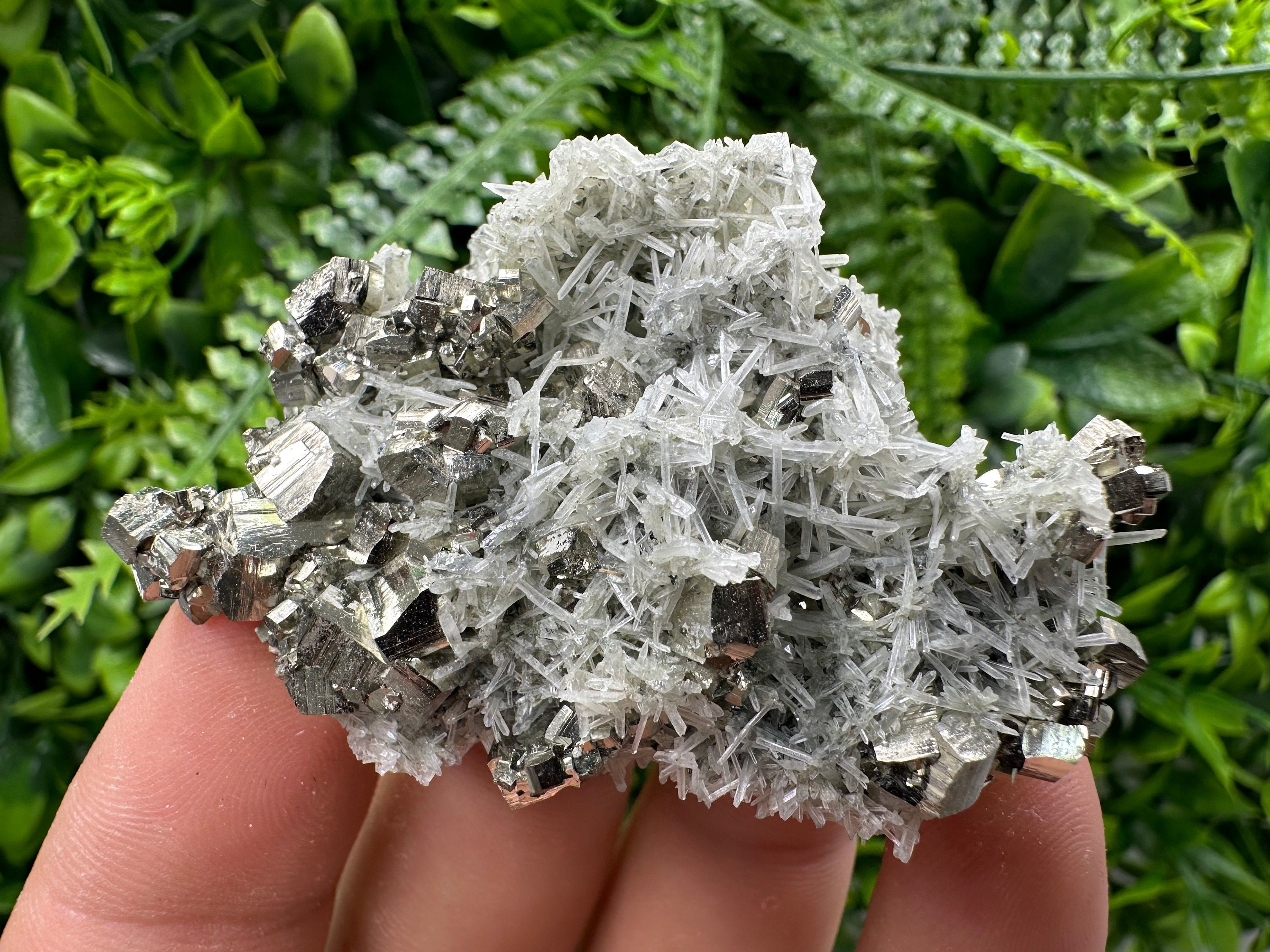 Pyrite on Green Quartz Specimen, Borieva Mine, Bulgaria