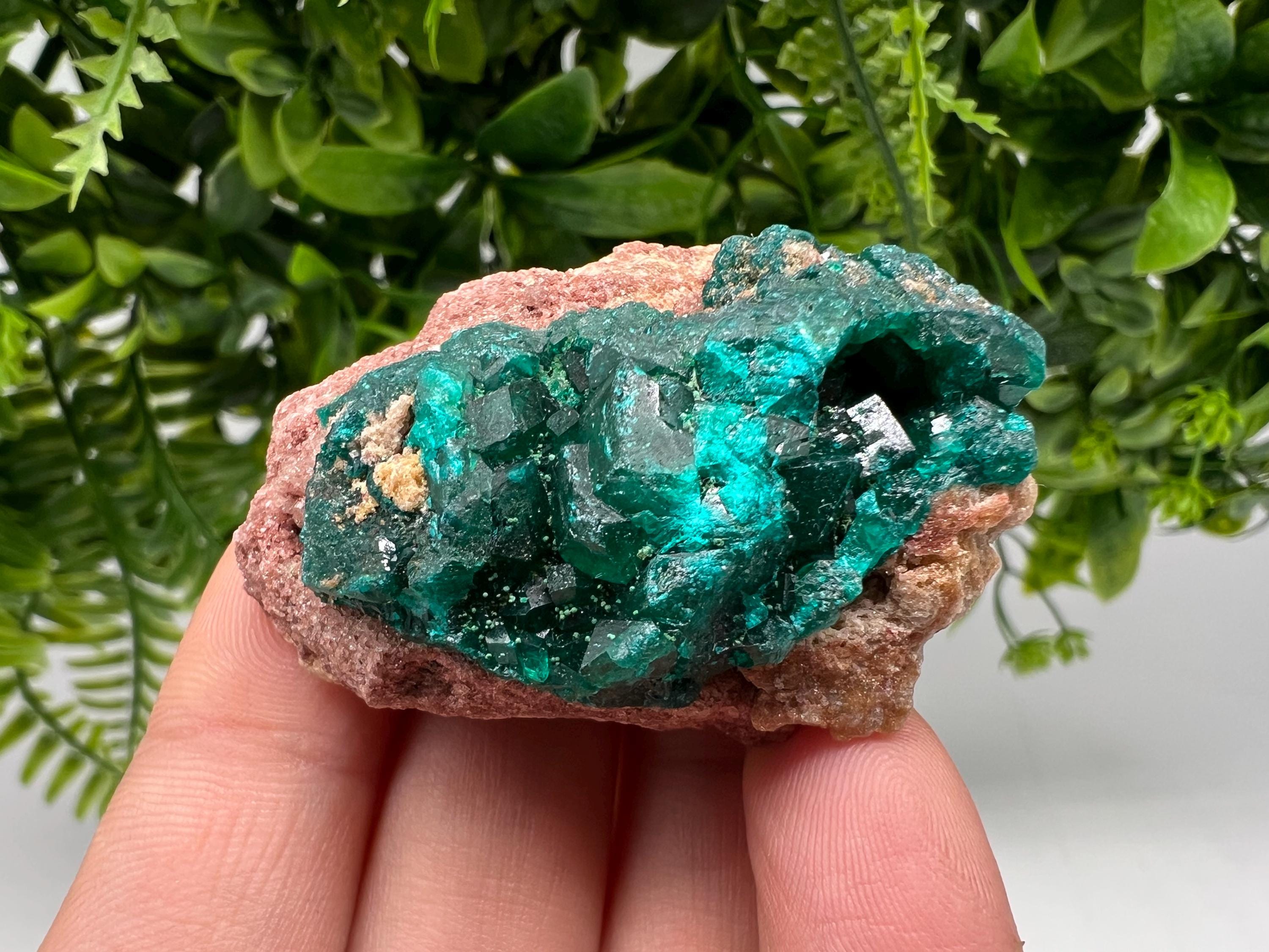 Stunning Green Dioptase from Sanda Hills,Mindouli,Pool Department,Mindouli District,Congo,green Dioptase,Dioptas Crystal,Dioptase collecting