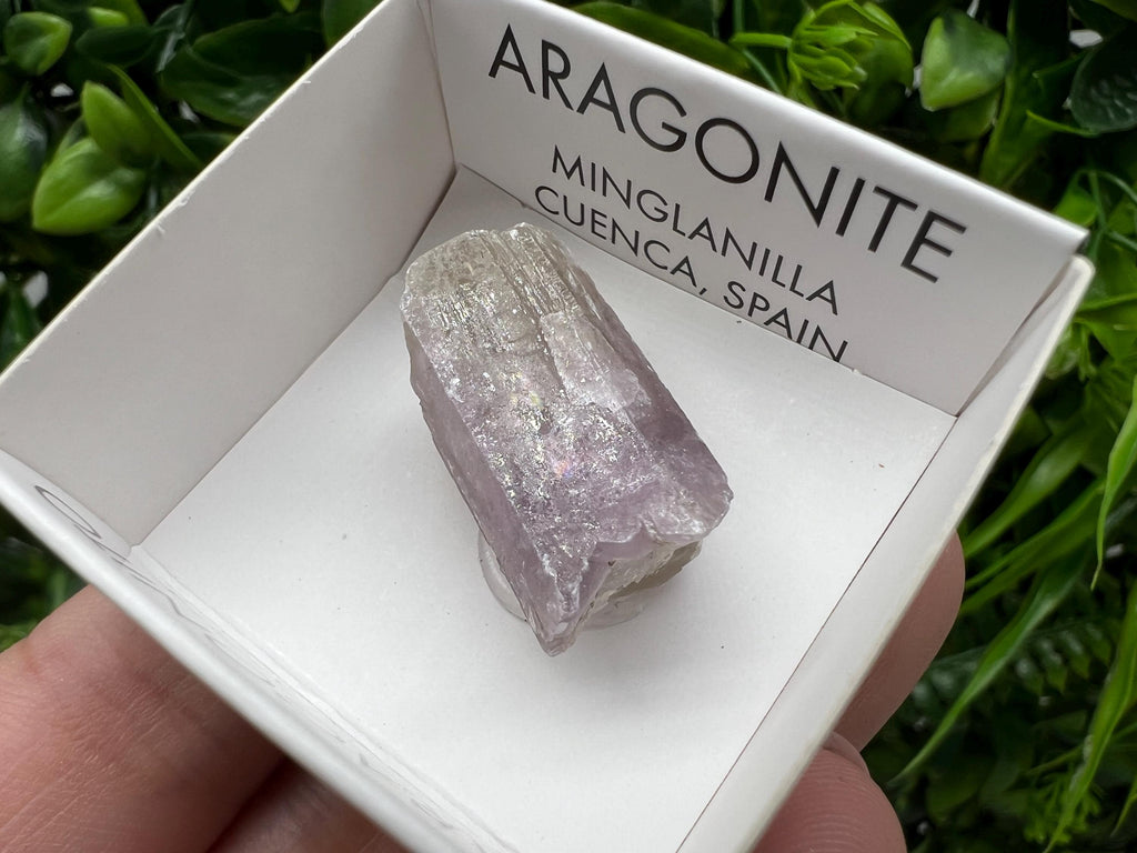 Amazing Aragonite from Spain,Aragonite crystal,cluster,natural,mineral,specimen,Purple Aragonite,Spanish Aragonite,Mineralcollection