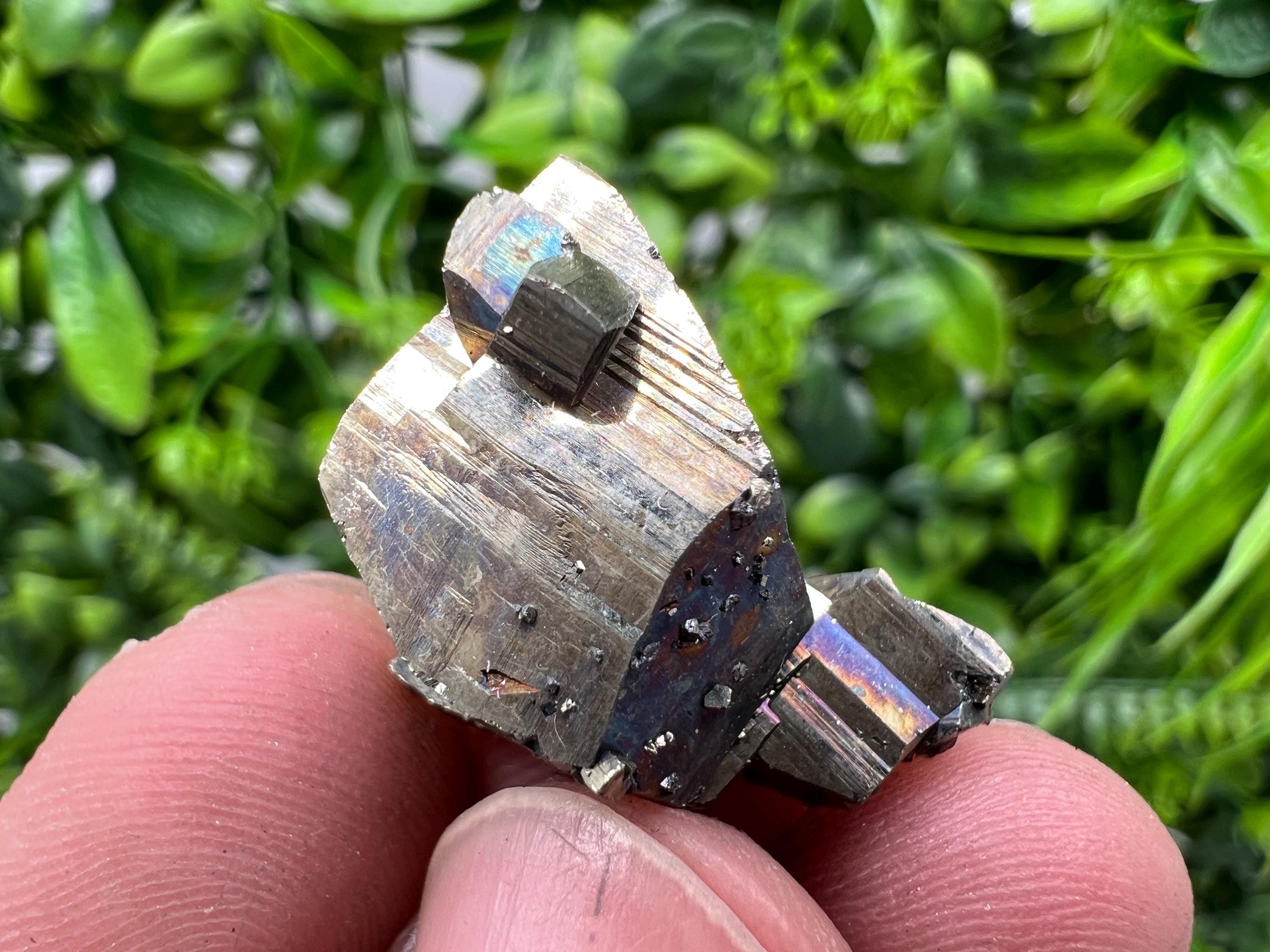 Rare Crystallization Pyrite, Borieva Mine, Bulgaria, Rainbow Golden Pyrite