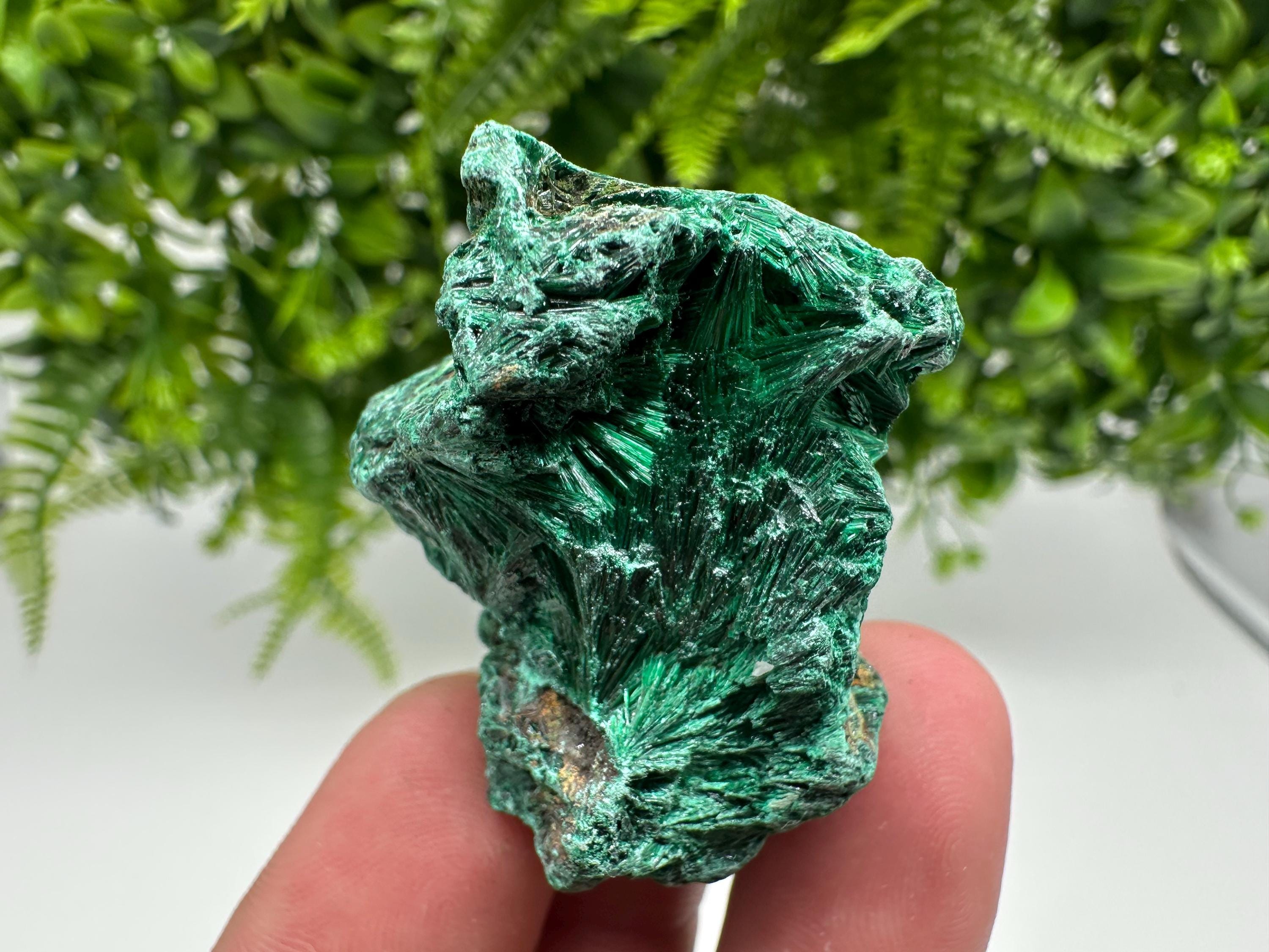 Green Polished Malachite Crystal Specimen from Congo