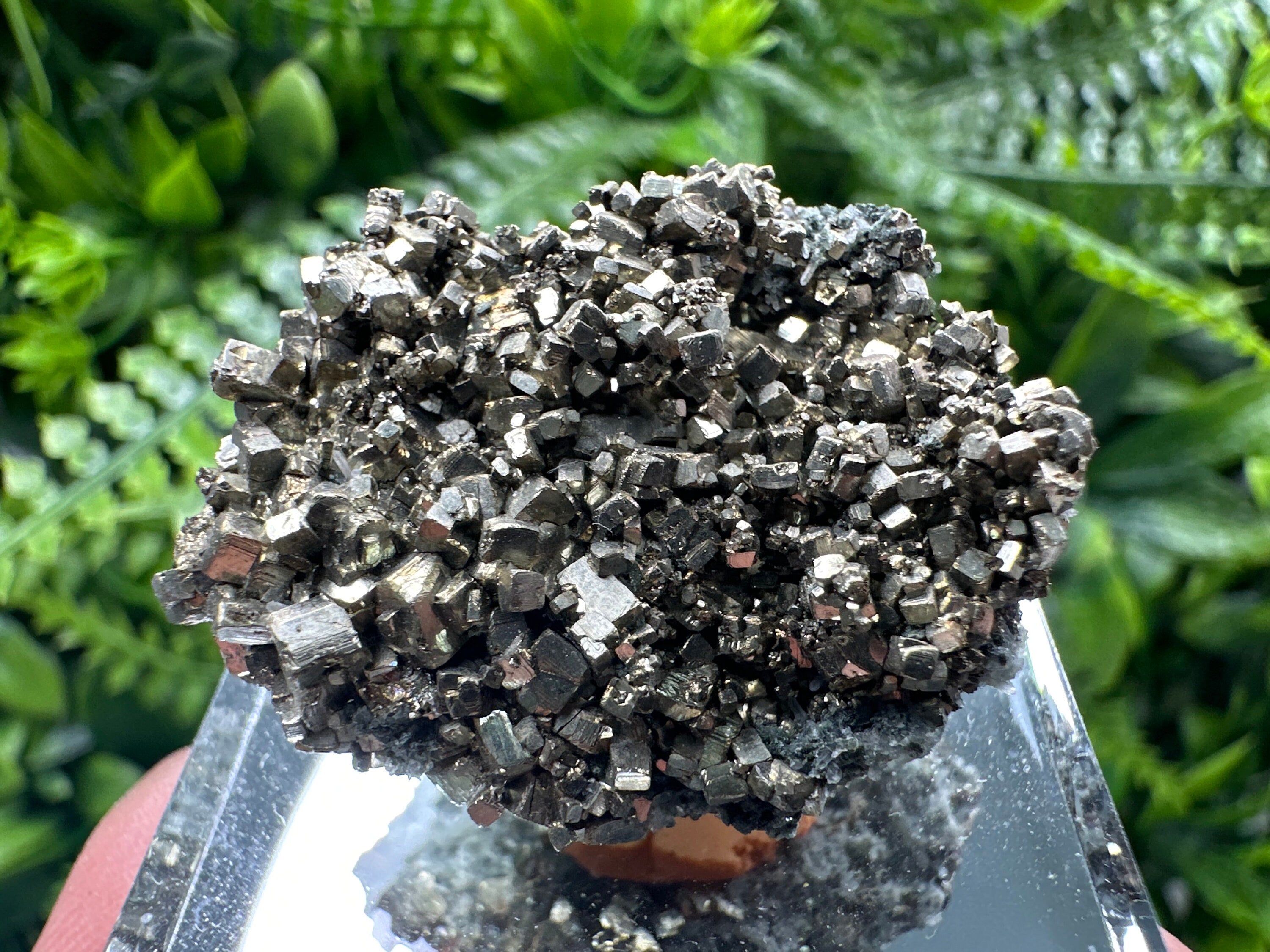 Rare Golden Pyrite Cluster: Borieva Mine, Bulgaria