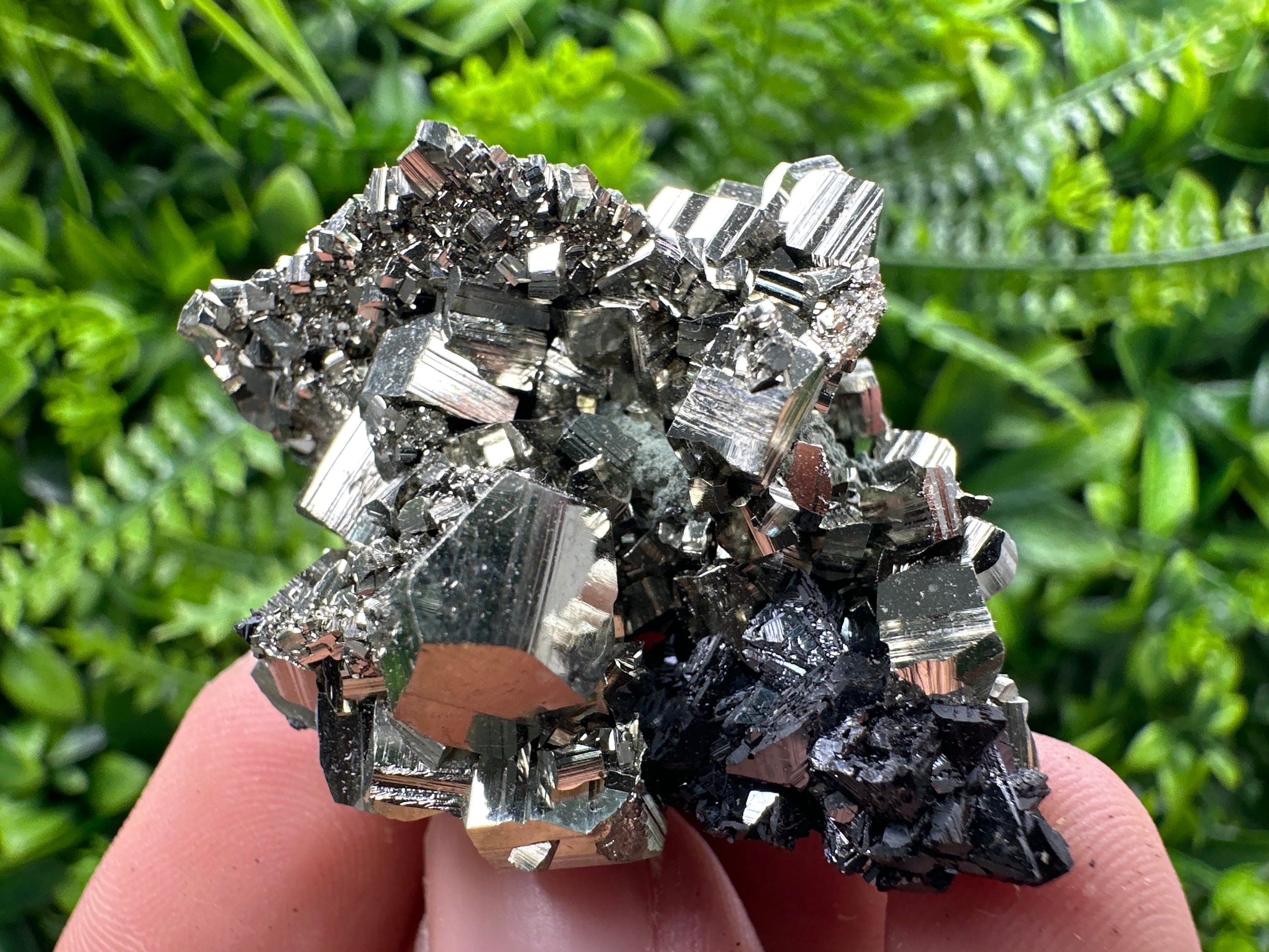 Golden Pyrite with Sphalerite Mineral Specimen, Borieva Mine, Bulgaria