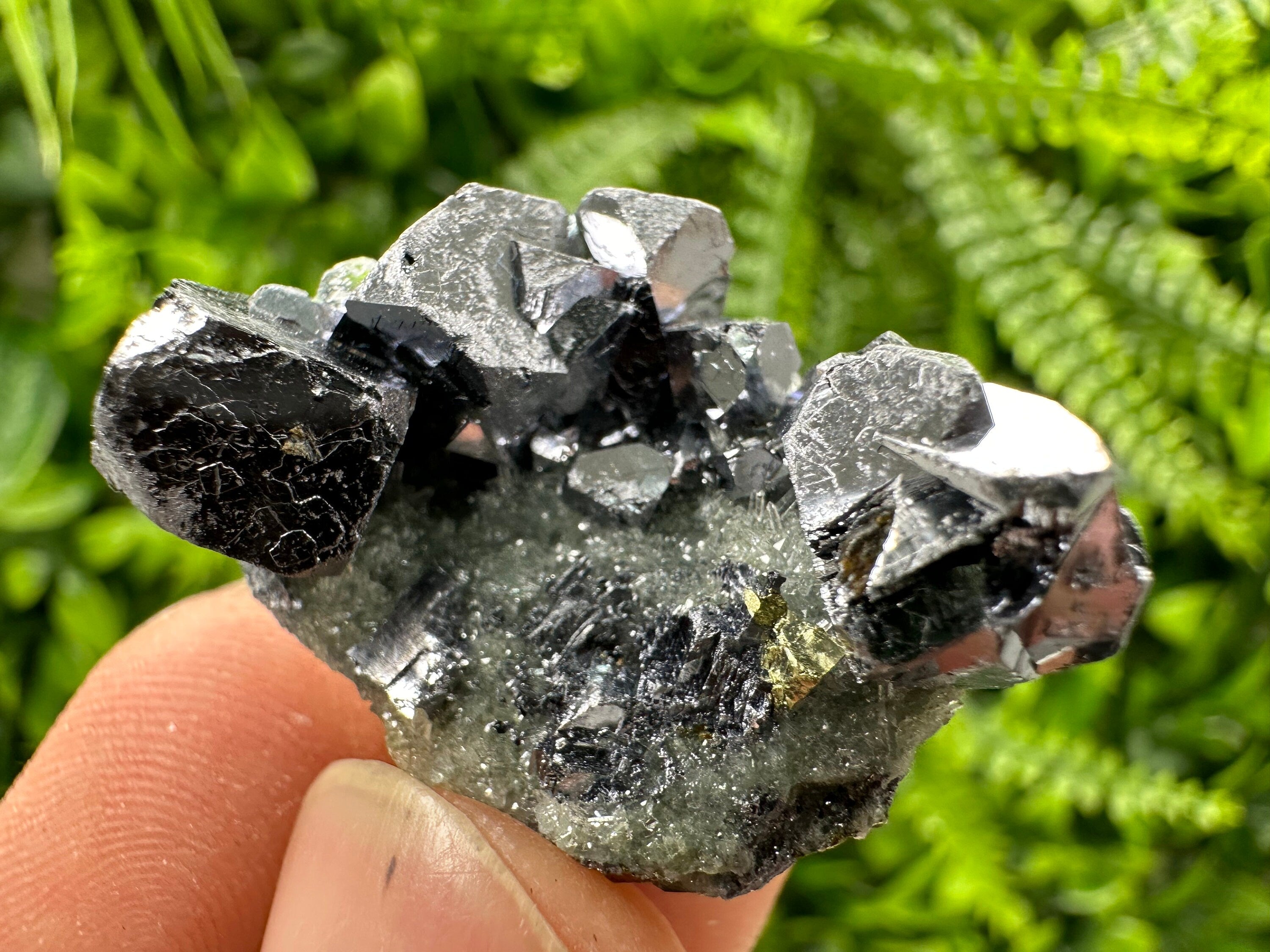Galena Chalcopyrite on Quartz: Crystal Mineral Specimen, Borieva Mine