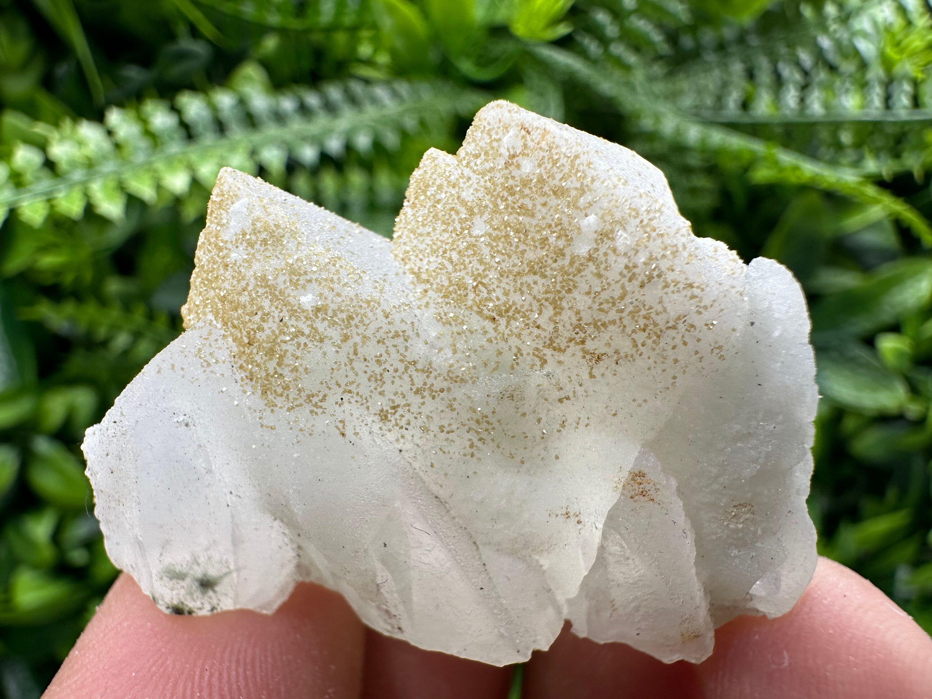 Quartz Rhodochrosite Cluster, Djurcovo Bulgaria Mineral Specimen