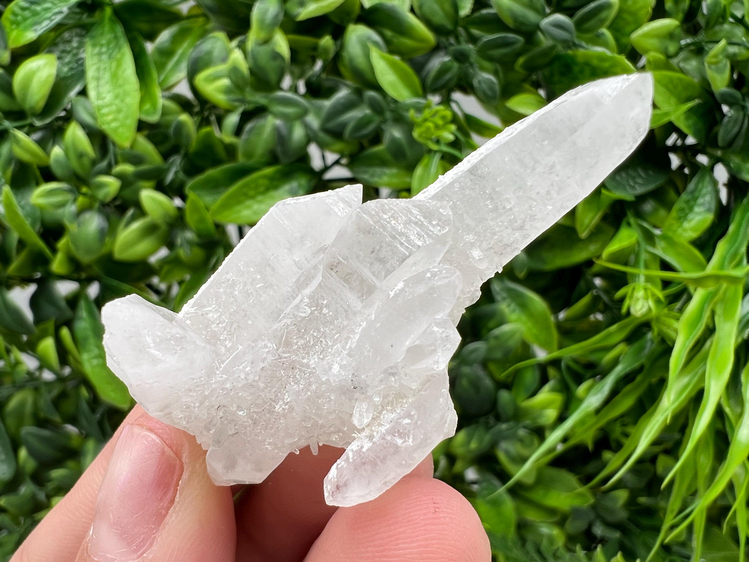 Transparent Quartz on Chlorite Matrix, Borieva Mine, Bulgaria