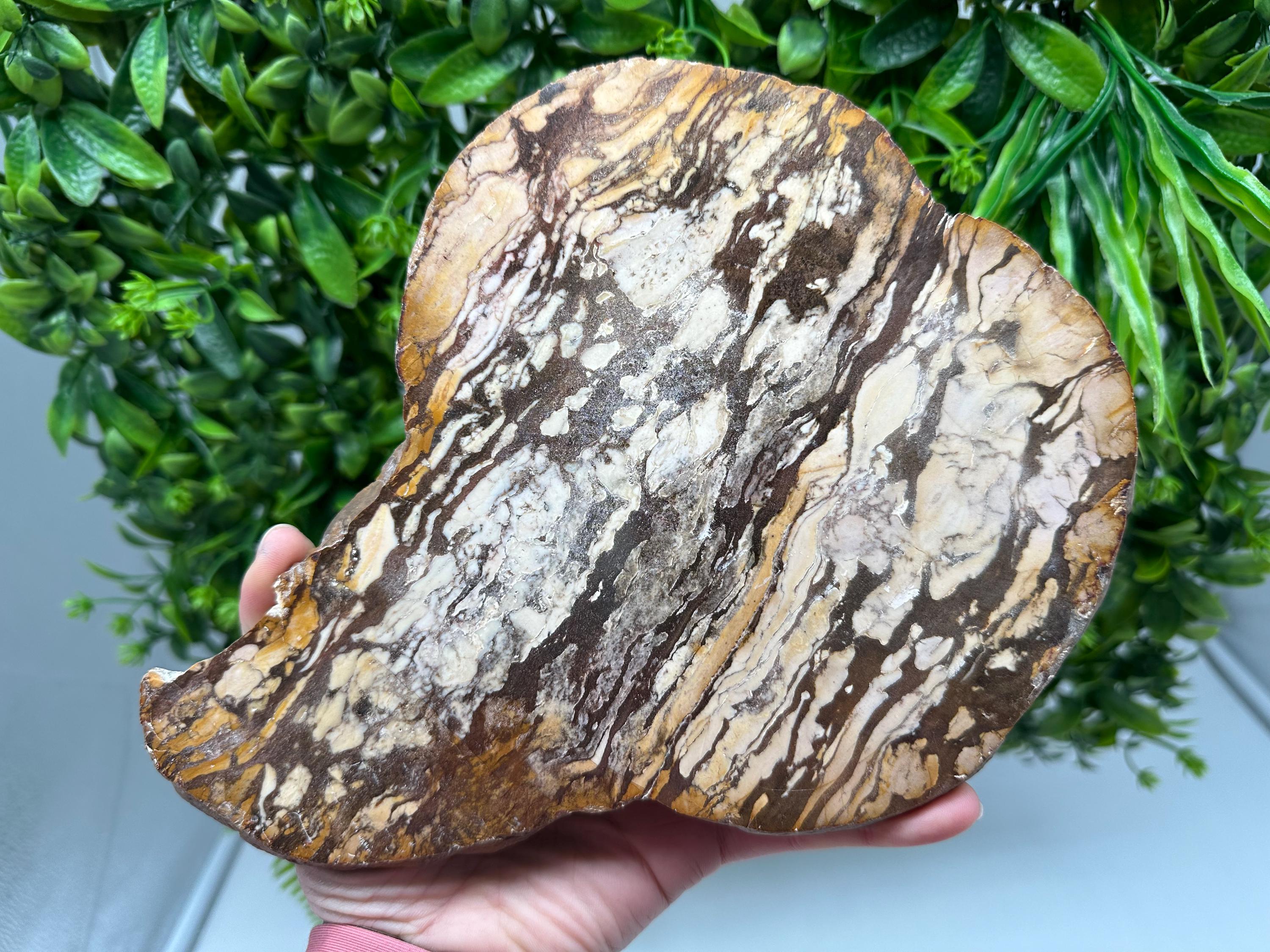 Polished Landscape Jasper Slab – Natural Scenic Stone Slice, Grounding Decor Specimen