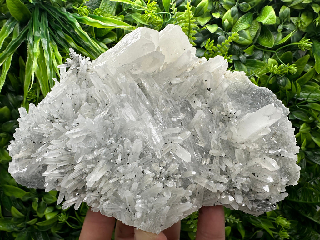 Transparent Quartz Crystal, Borieva Mine Bulgaria, Mineral Specimen