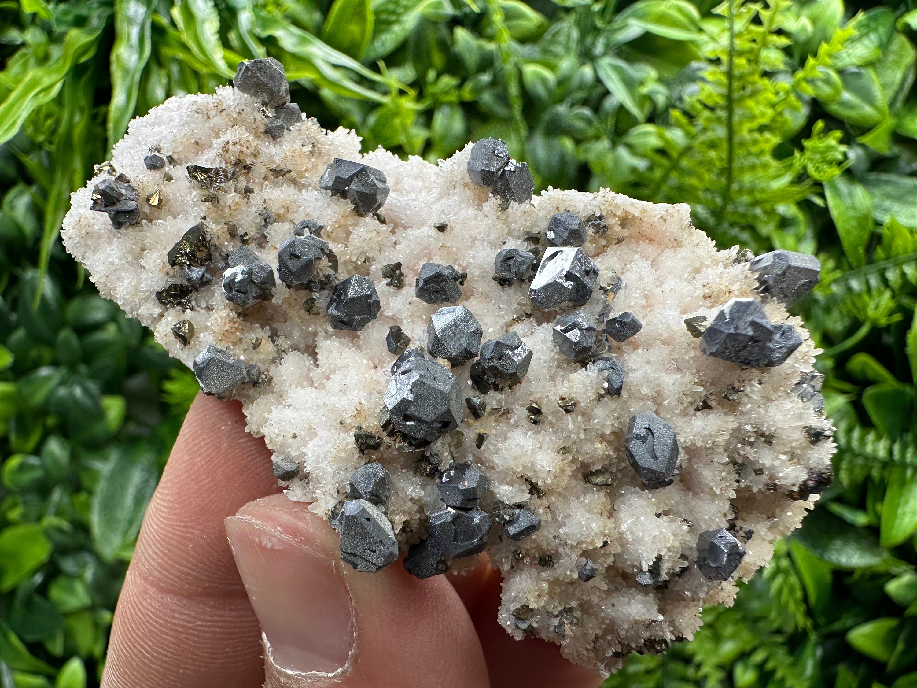 Galena with Chalcopyrite on Mangano Calcite: Natural Mineral Crystal Decor