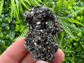 Pyrite on Quartz Needles: Borieva Mine Bulgaria Crystal Decor