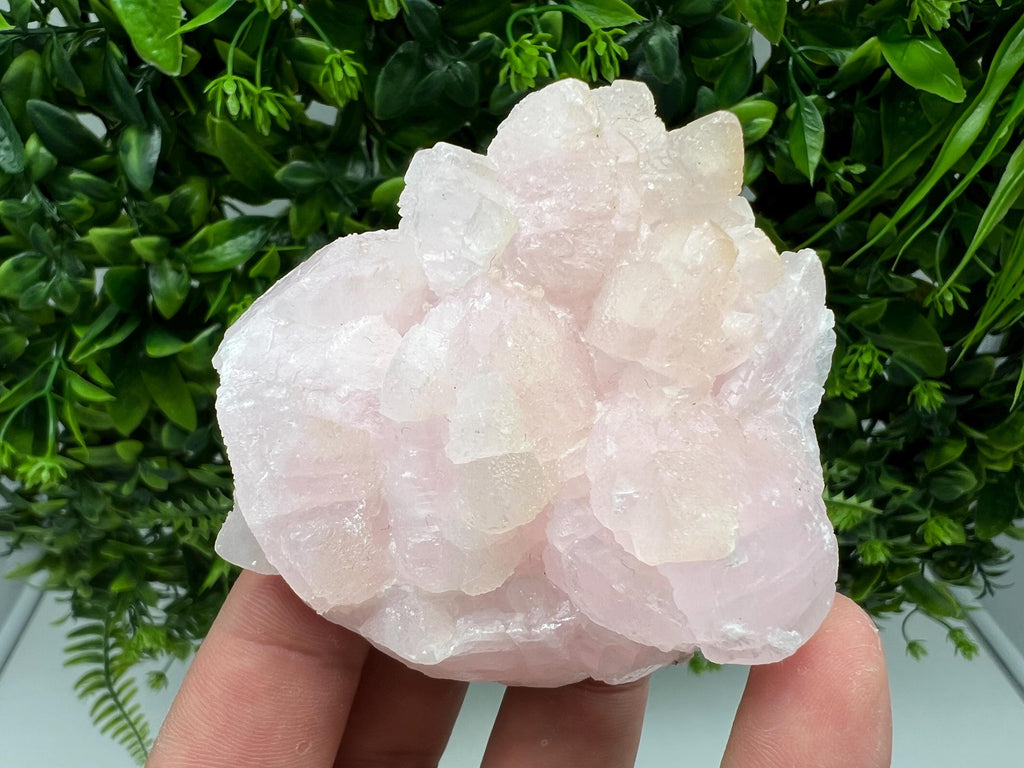 UV Reactive Mangano Calcite Crystal: Androvo Mine, Bulgaria