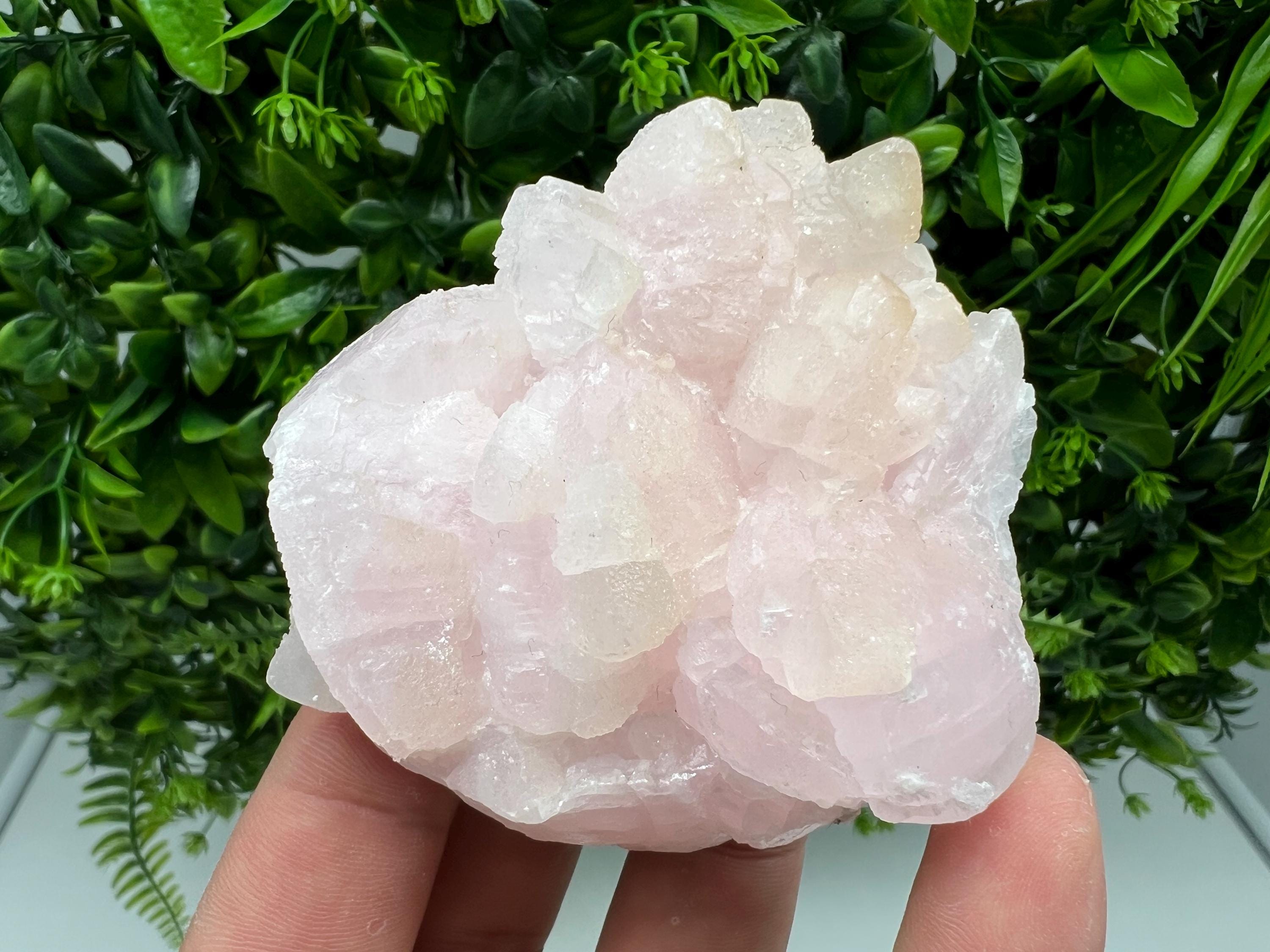UV Reactive Mangano Calcite Crystal: Androvo Mine, Bulgaria