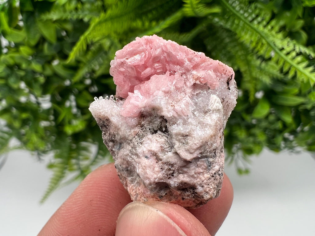 Rhodochrosite on Quartz: Pink Mineral Specimen, Starnica Mine, Bulgaria