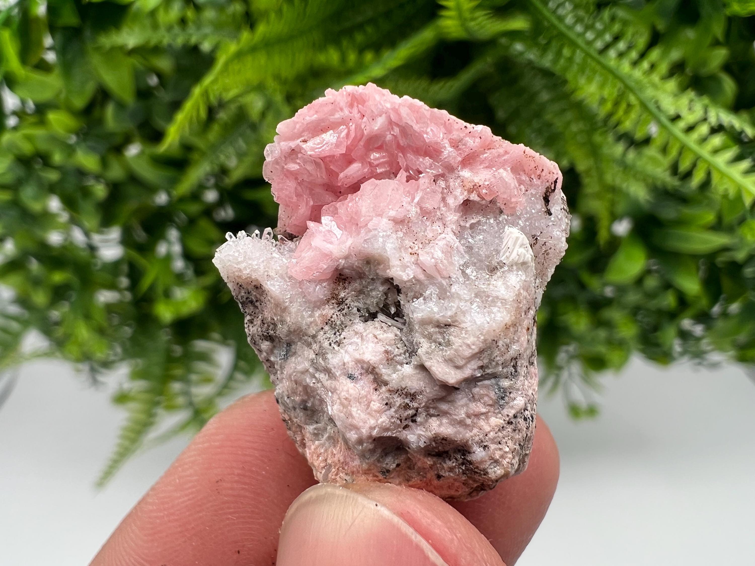 Rhodochrosite on Quartz: Pink Mineral Specimen, Starnica Mine, Bulgaria