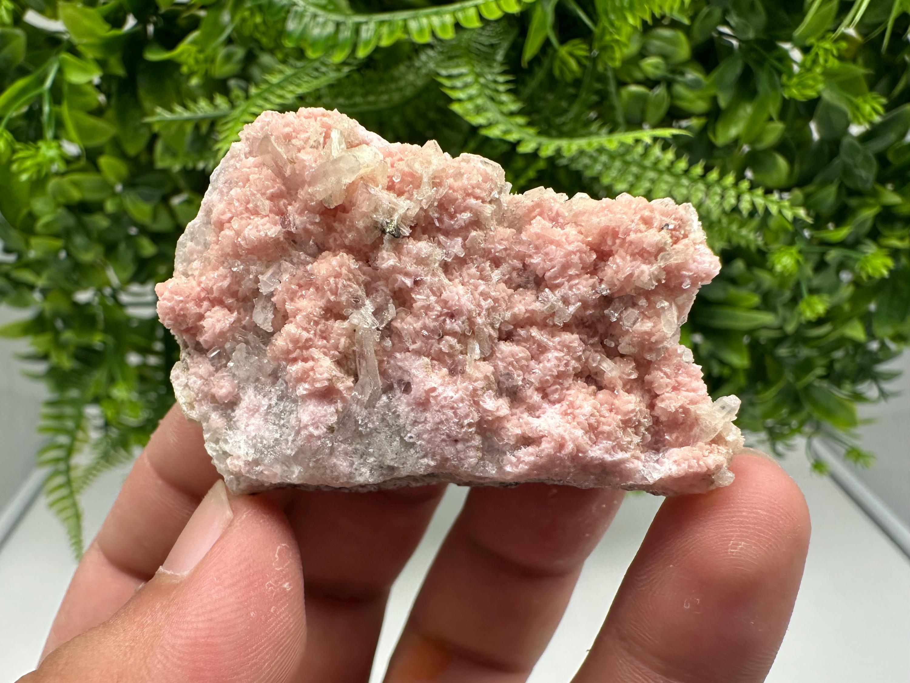 One beautiful cabinet size specimen of rhodochrosite, overgrowth by well-terminated quartz crystals Starnica mine Davidcovo area Bulgaria