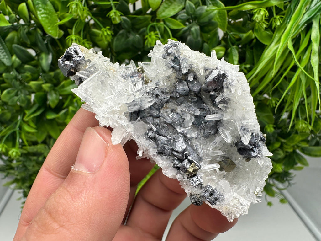 Aesthetic Natural shiny Galena whit Siderite and Quartz from 9 th September mine,Bulgaria,collection specimen,rare galena,Galena cluster
