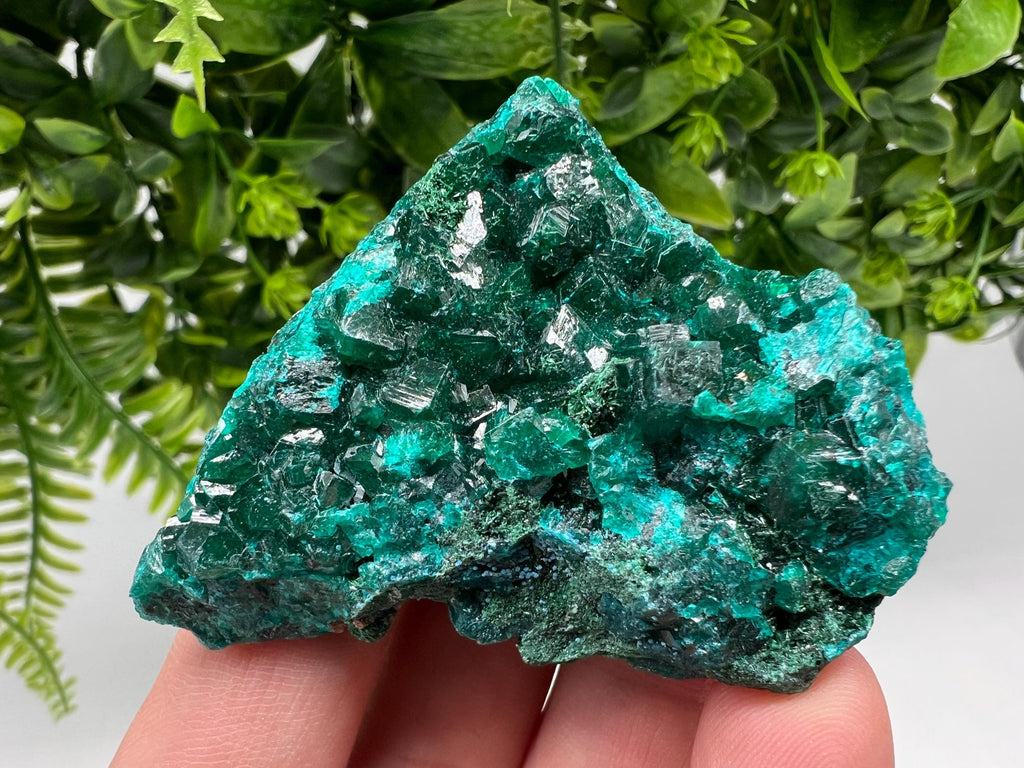 Stunning Green Dioptase from Sanda Hills,Mindouli,Pool Department,Mindouli District,Congo,green Dioptase,Dioptas Crystal,Dioptase collecting