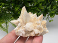 Calcite on Green Quartz: Djurcovo Mine, Bulgaria Healing Crystal