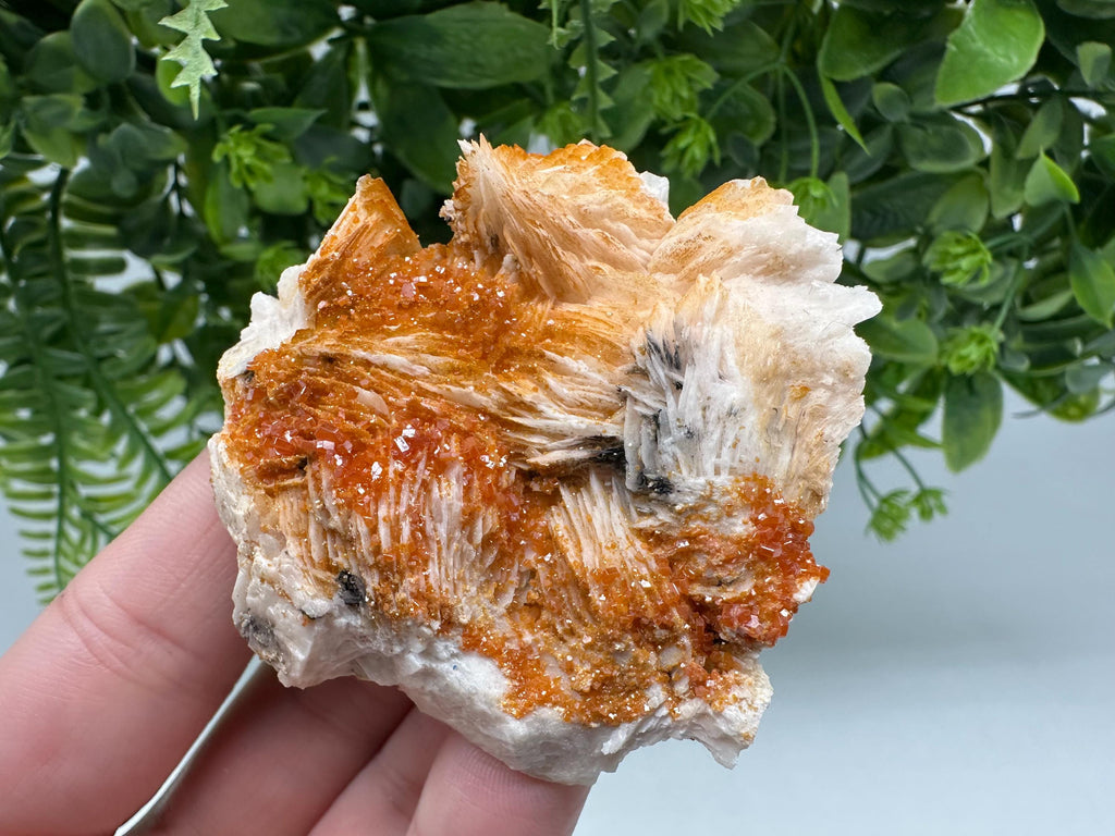 Red Vanadinite on Barite Crystal Specimen, Moroccan Mineral Cluster