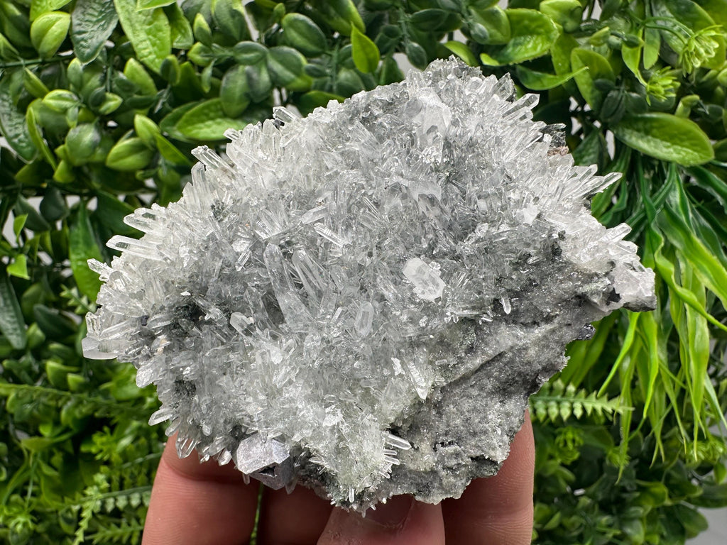 Quartz Crystal with Galena, Chlorite Matrix Mineral Specimen
