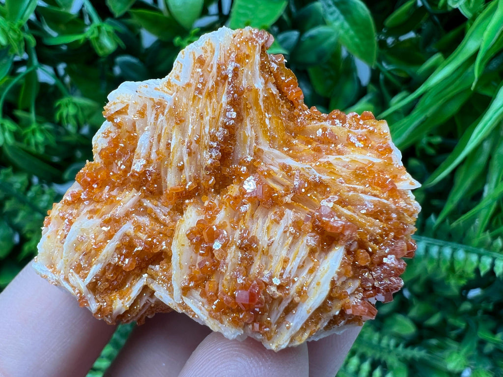 Red Vanadinite on Barite from Marocco,crystal minerals Speciment cluster Vanadinite crystal Vanadinite Geology Vanadinite cluster minerals