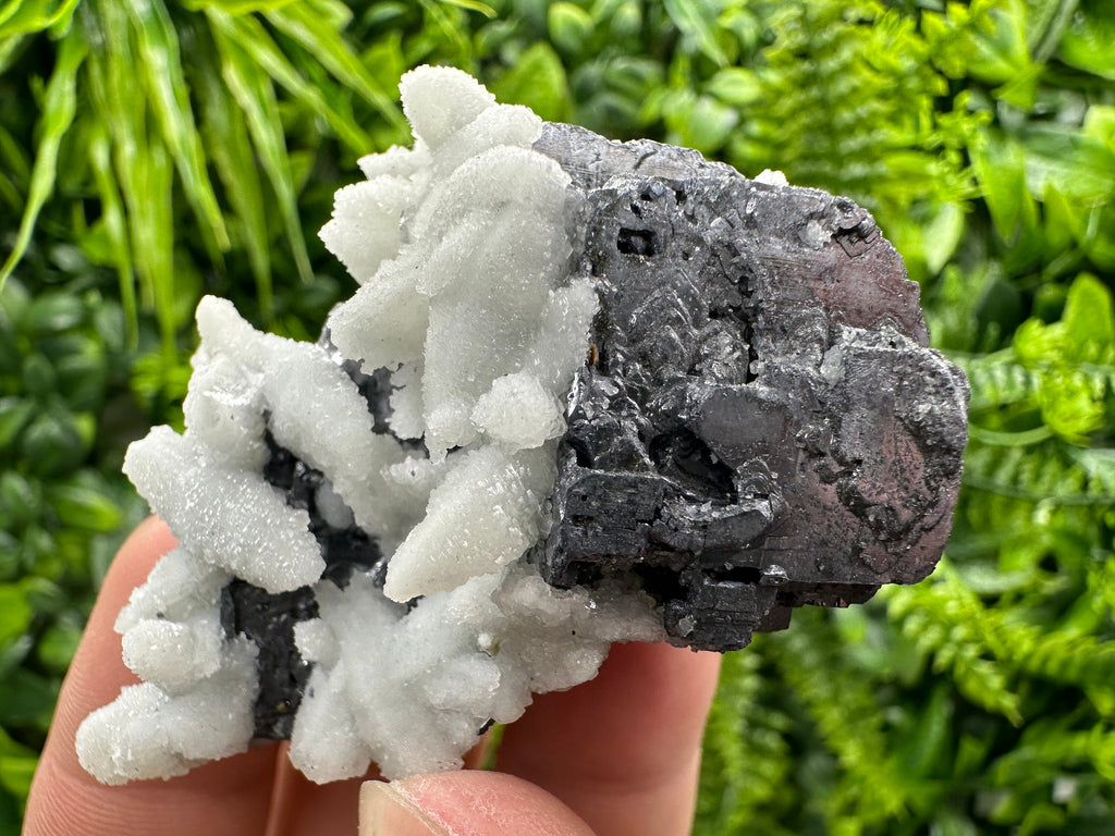 Rare Calcite on Galena: Borieva Mine, Bulgaria