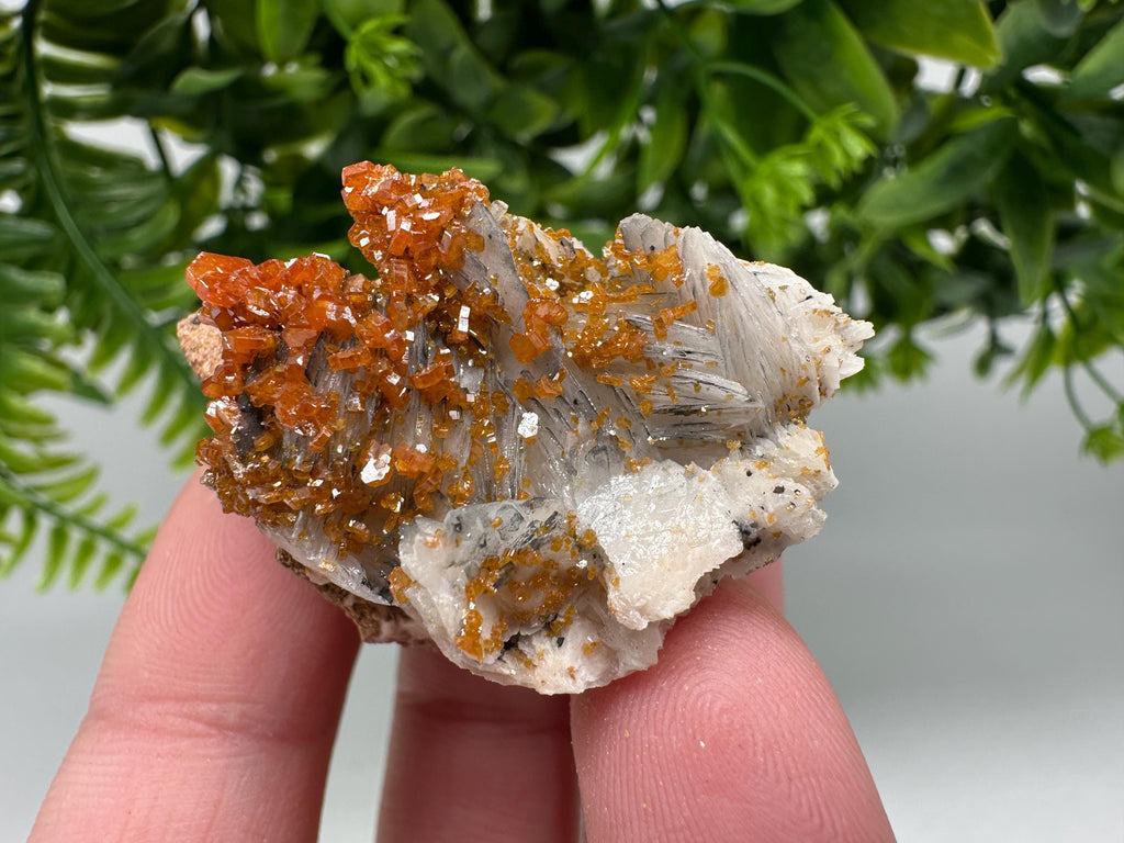 Red Vanadinite on Barite from Marocco,crystal minerals Speciment cluster Vanadinite crystal Vanadinite Geology Vanadinite cluster minerals