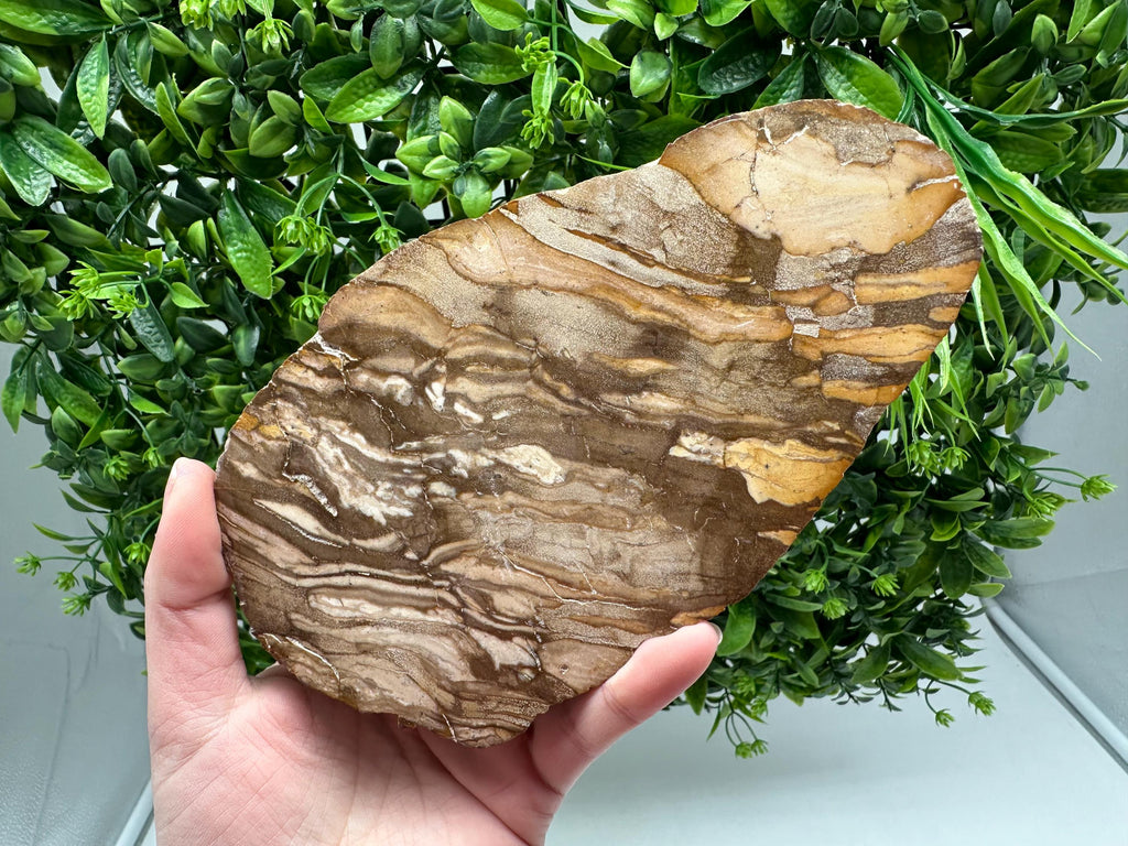 Polished Landscape Jasper Slab – Natural Scenic Stone Slice, Grounding Decor (18/11 CM)