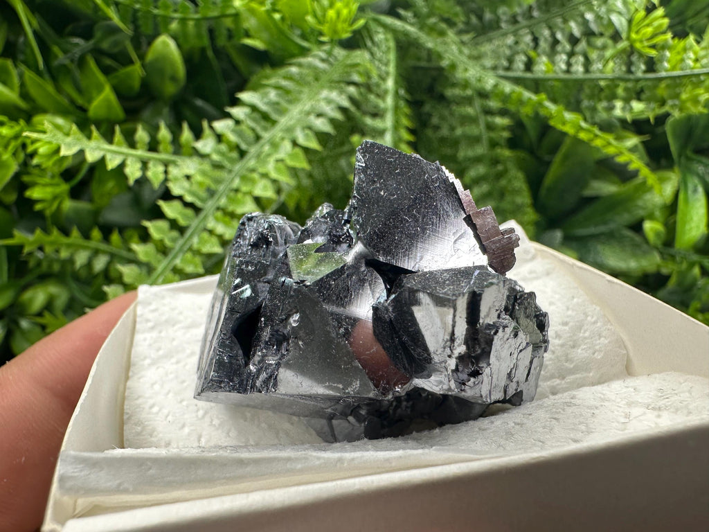 Shiny Galena Cluster: Borieva Mine, Madan, Bulgaria