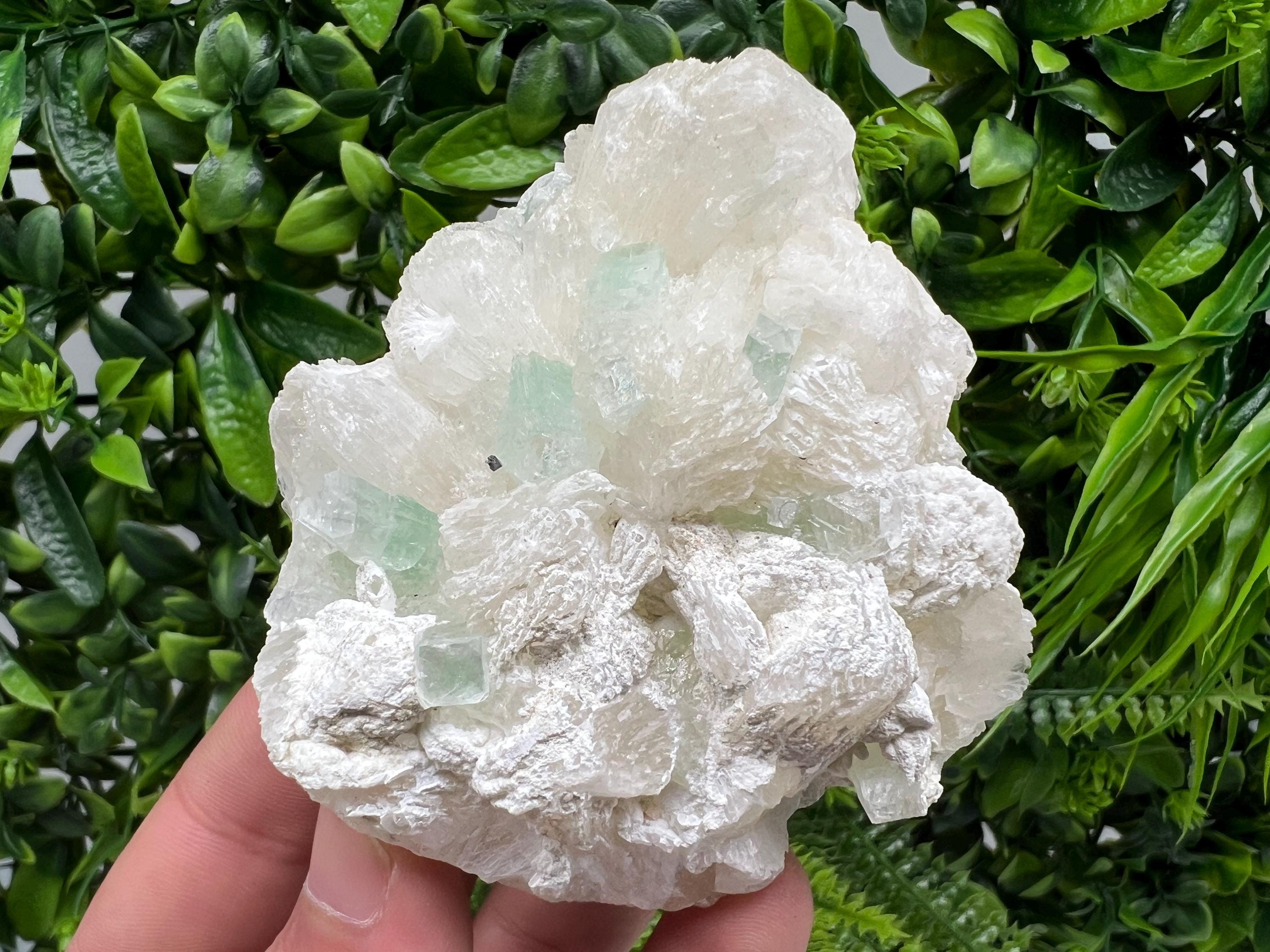 Transparent Apophyllite on Chalcedony Specimen, India Minerals