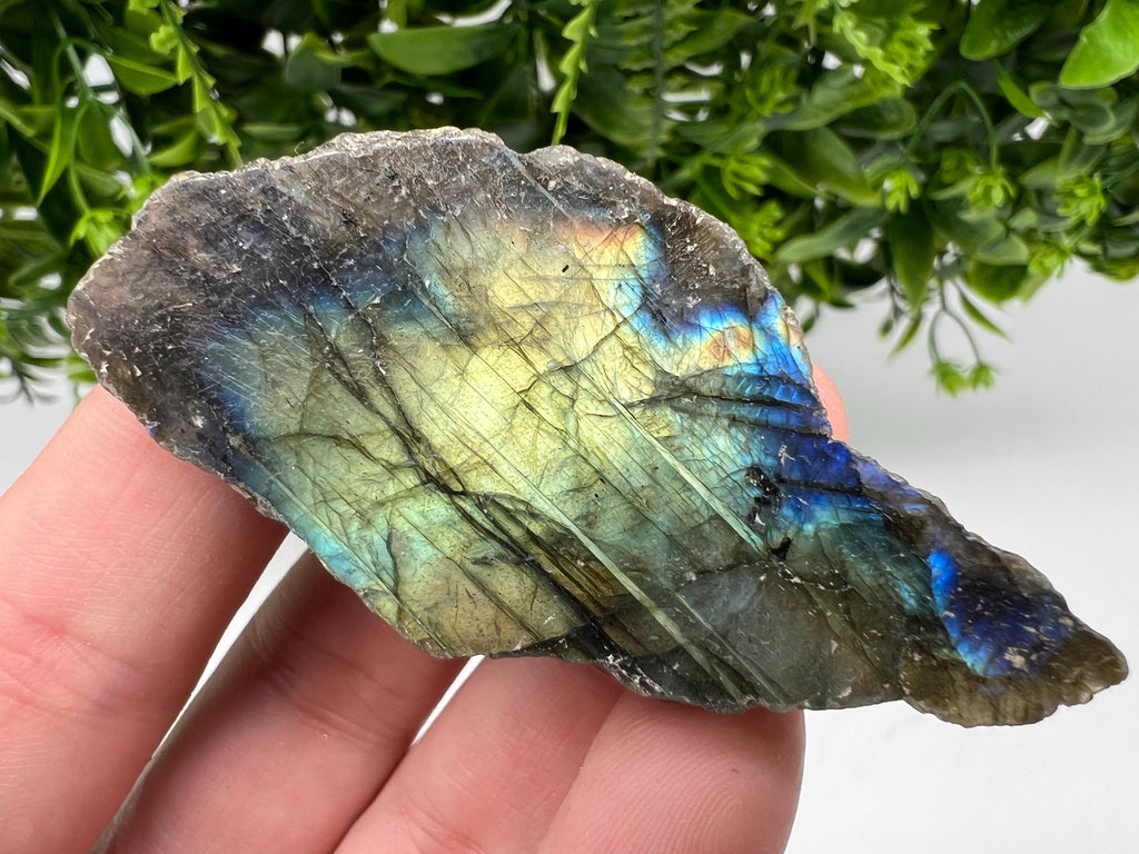 Polished Labradorite Slab: Multifire Crystal Decor - 7x3.5x1.5cm